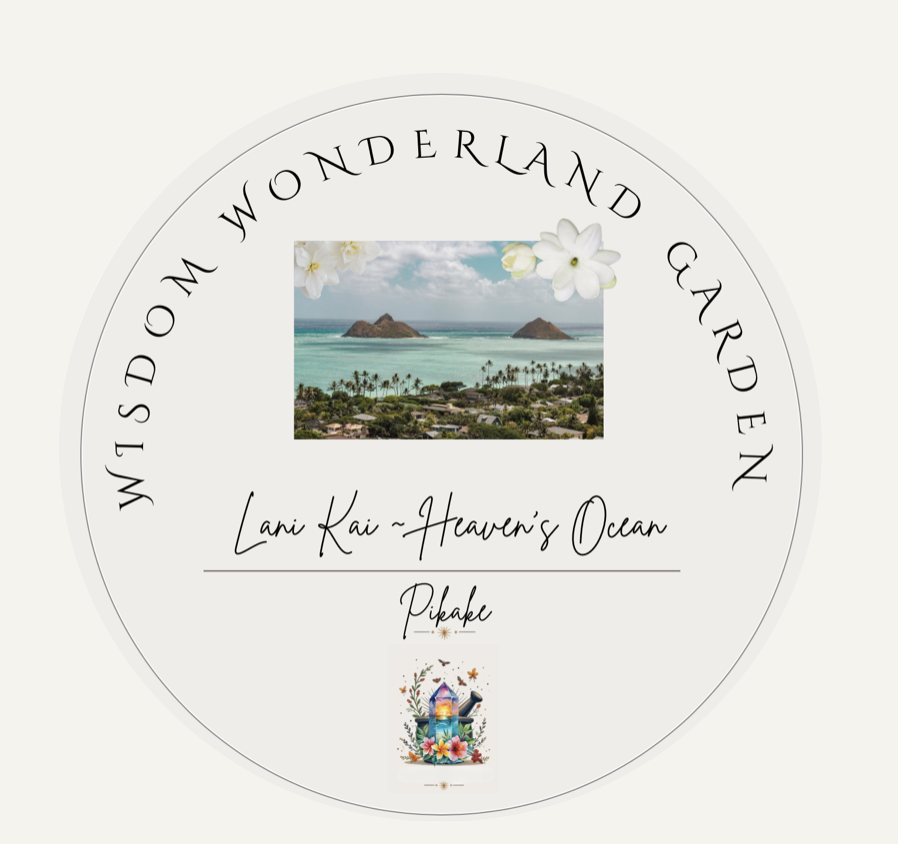 Screenshot 2026-01-19 at 8.11.32 AM.png