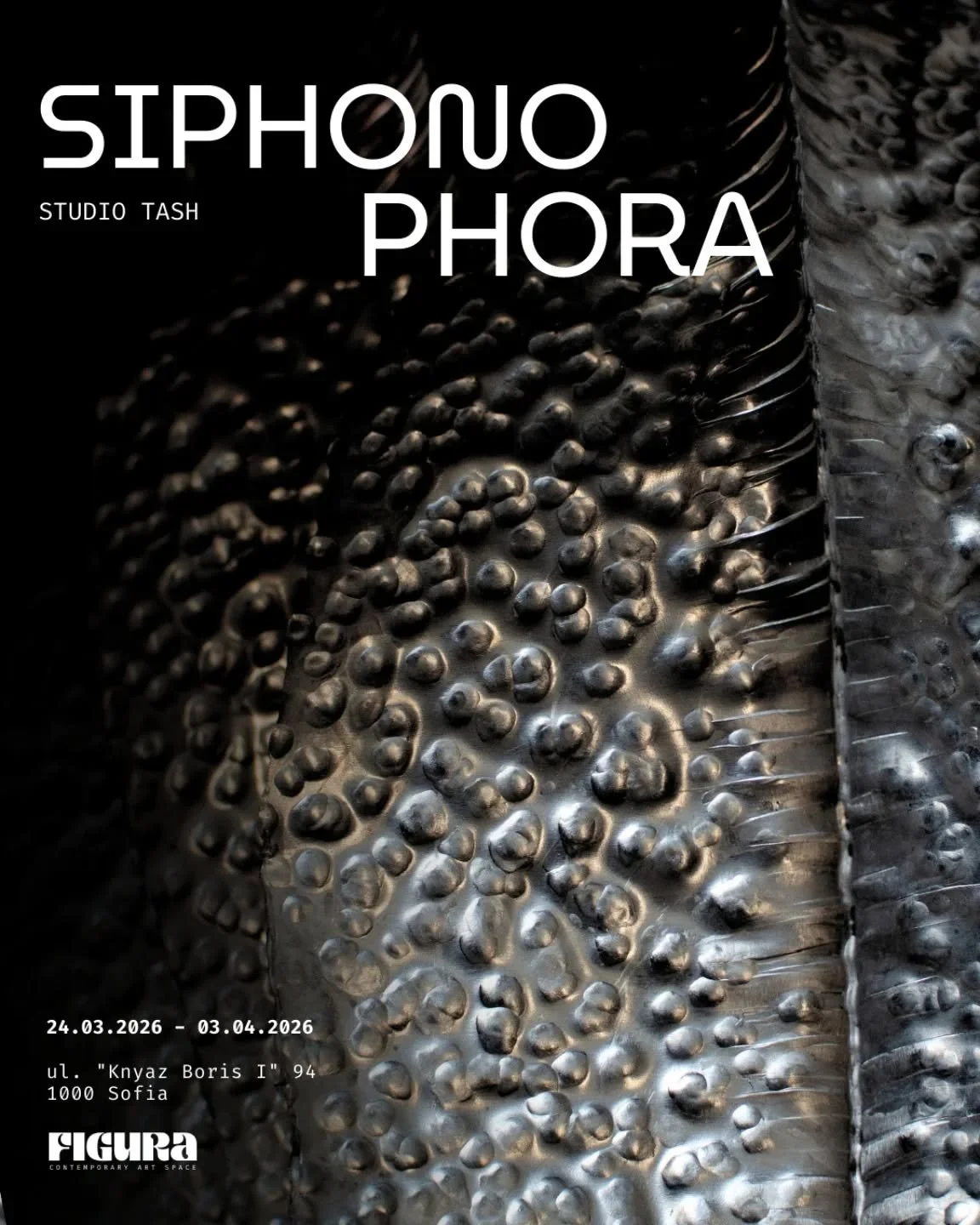 SIPHONOPHORA