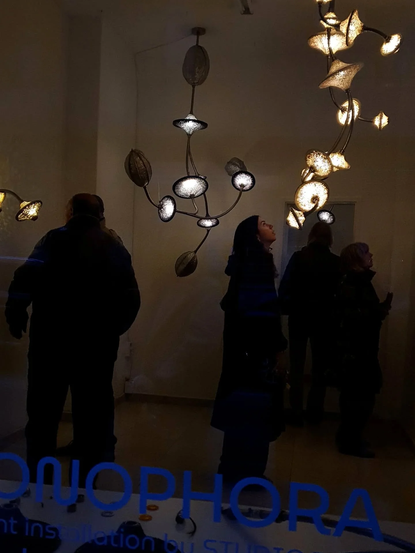 657709600_17856883464629218_7969148722623134077_n.jpg