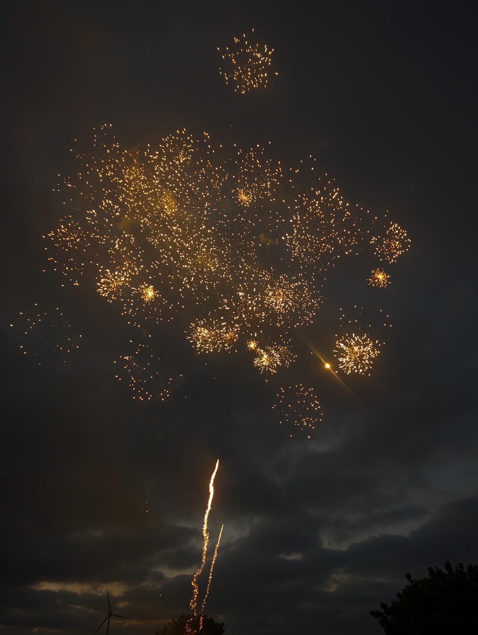 shared image (2).jpg