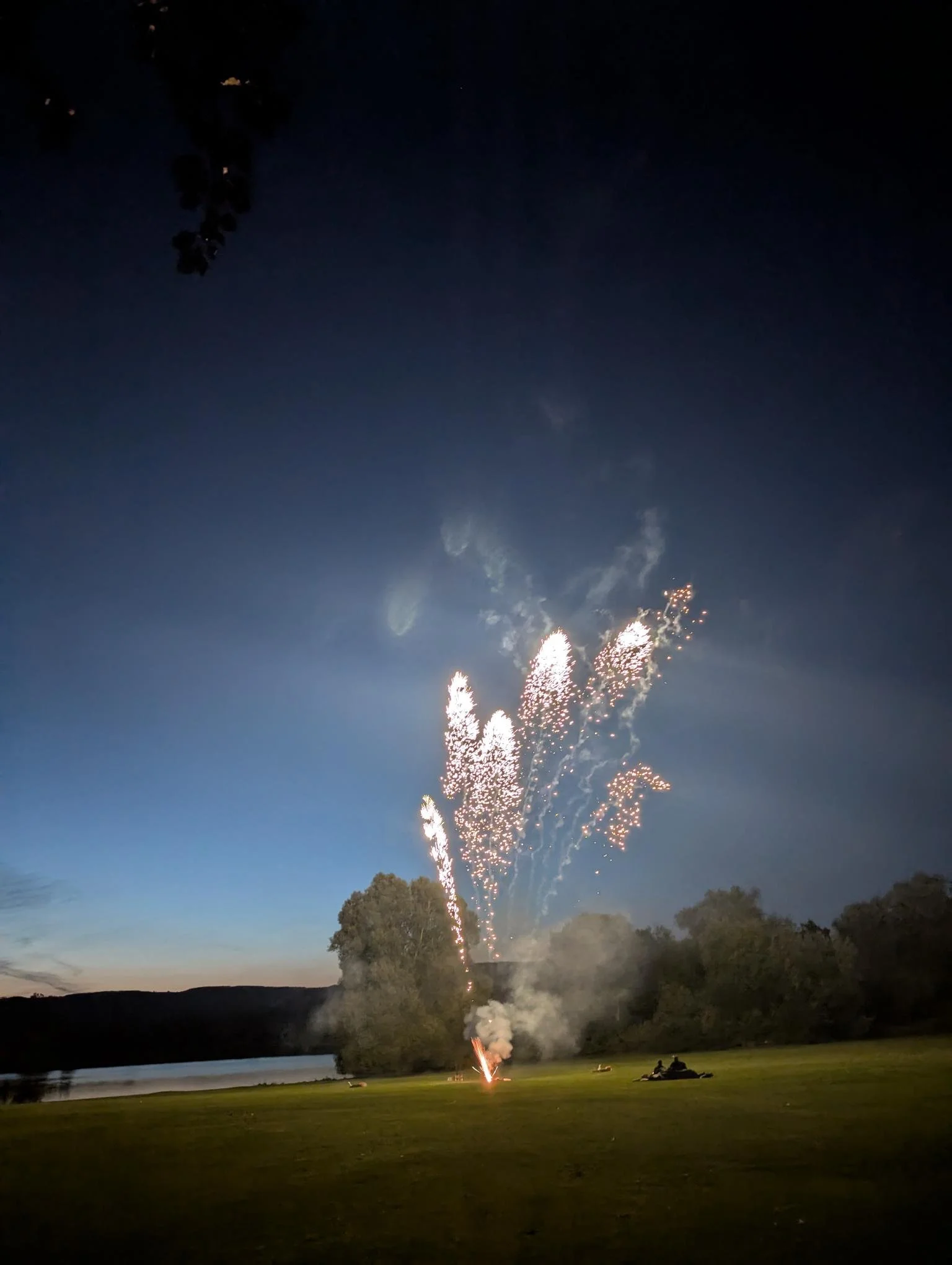 shared image (3).jpg