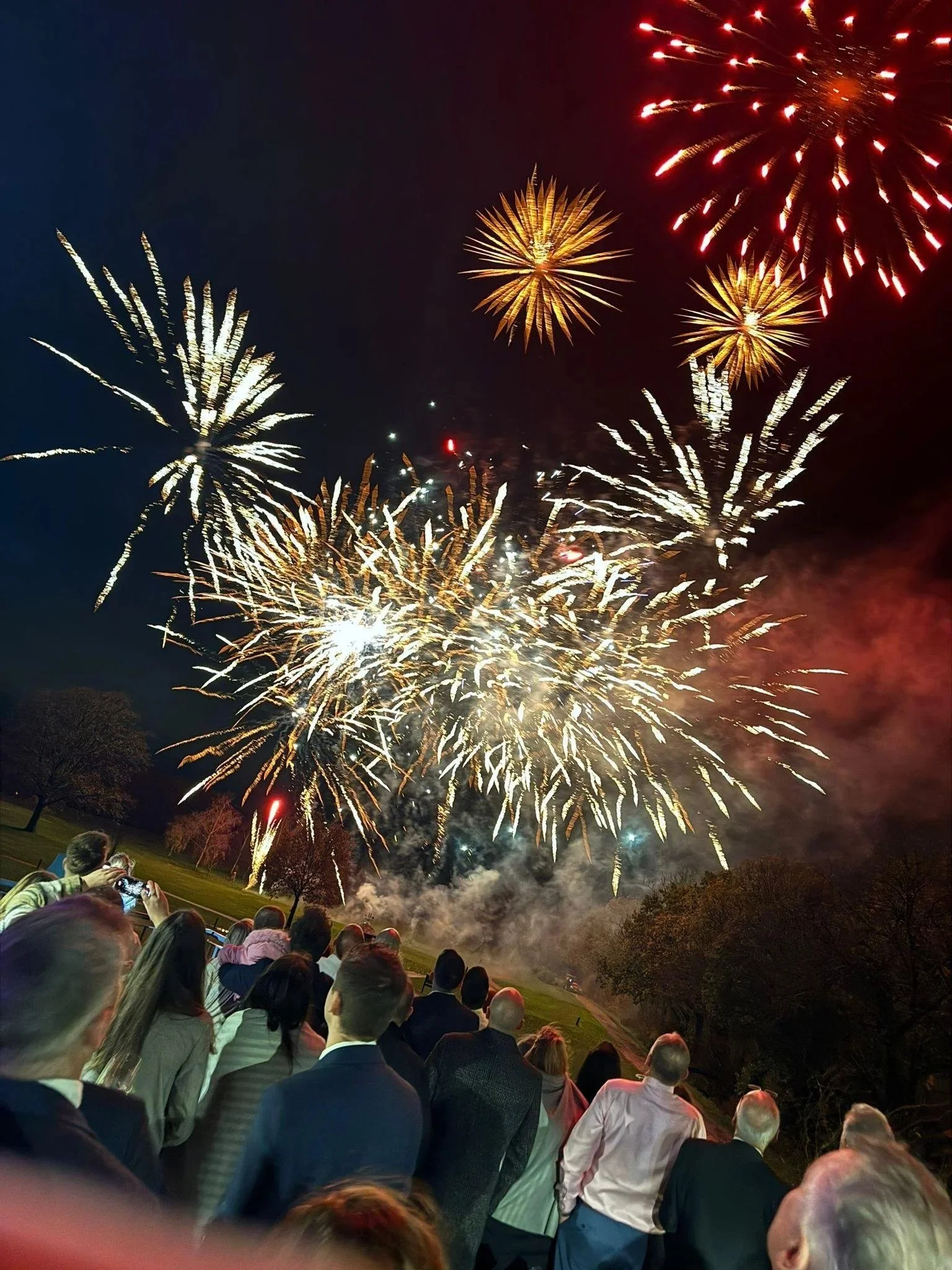 People watching a wedding fireworks display at Sandburn Hall near York, with colorful explosions in the sky.