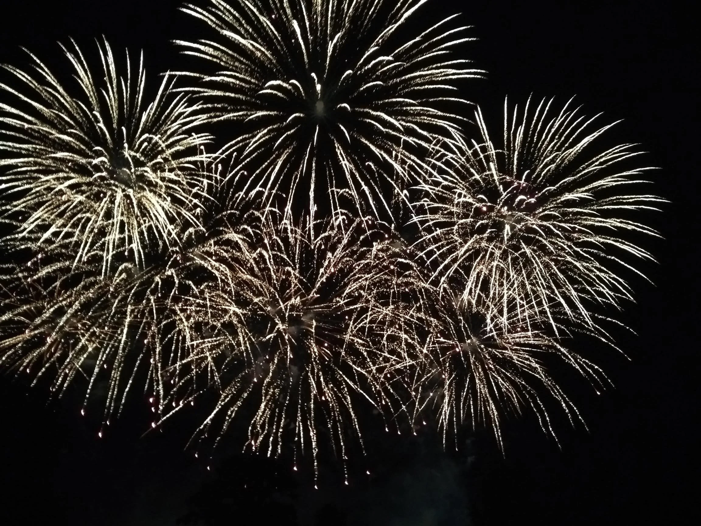 shared image (2).jpg