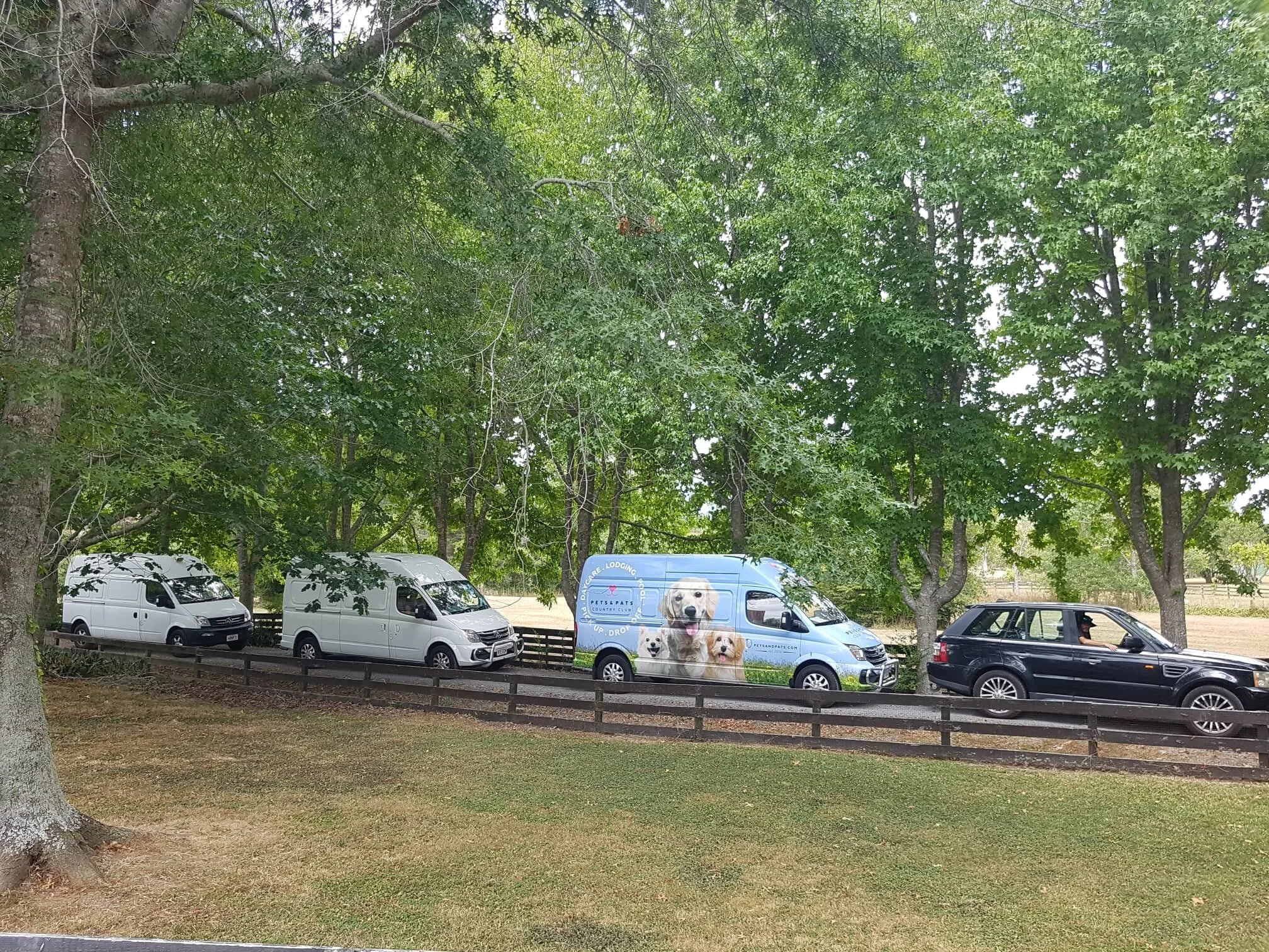 84693165_514582919171768_6330073725995581440_n (1).jpg