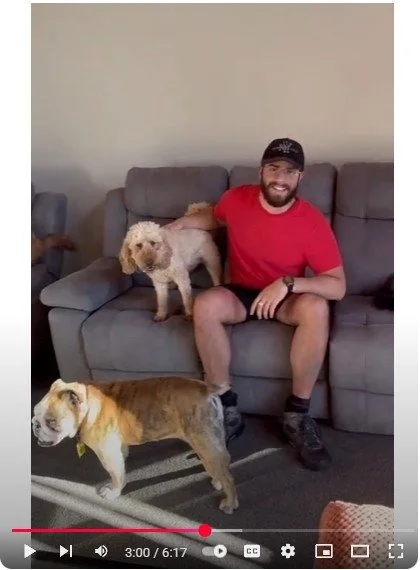 Sleepovers, Elevated: A Peek Inside Pupclub Luxury Lodging! 🐾