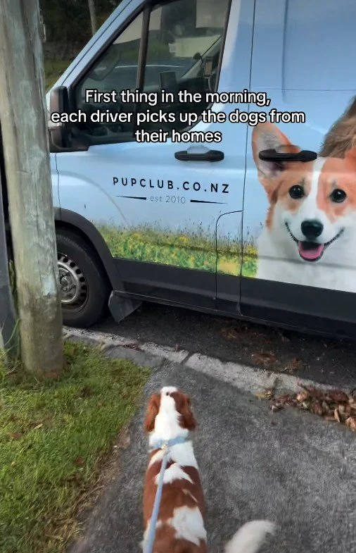 More info on pick up and drop off service