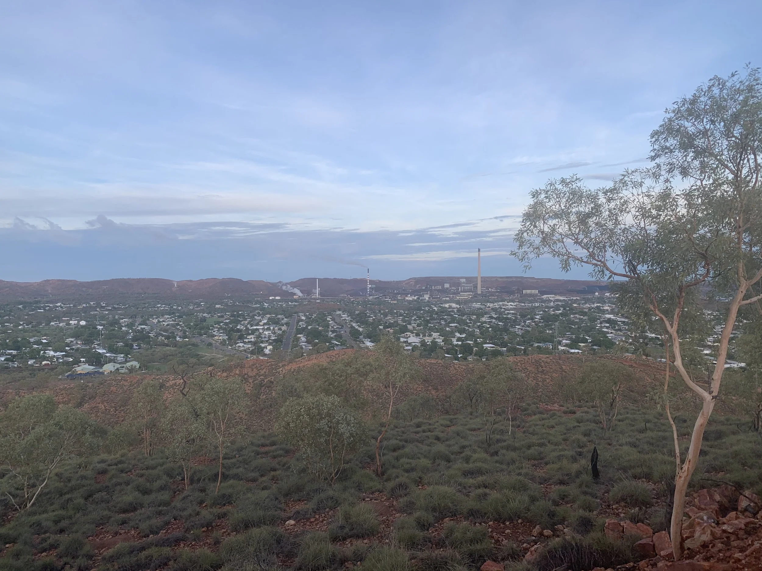 View of a cityscape from a hill with sparse desert vegetation in the foreground, and a blue sky with clouds overhead.