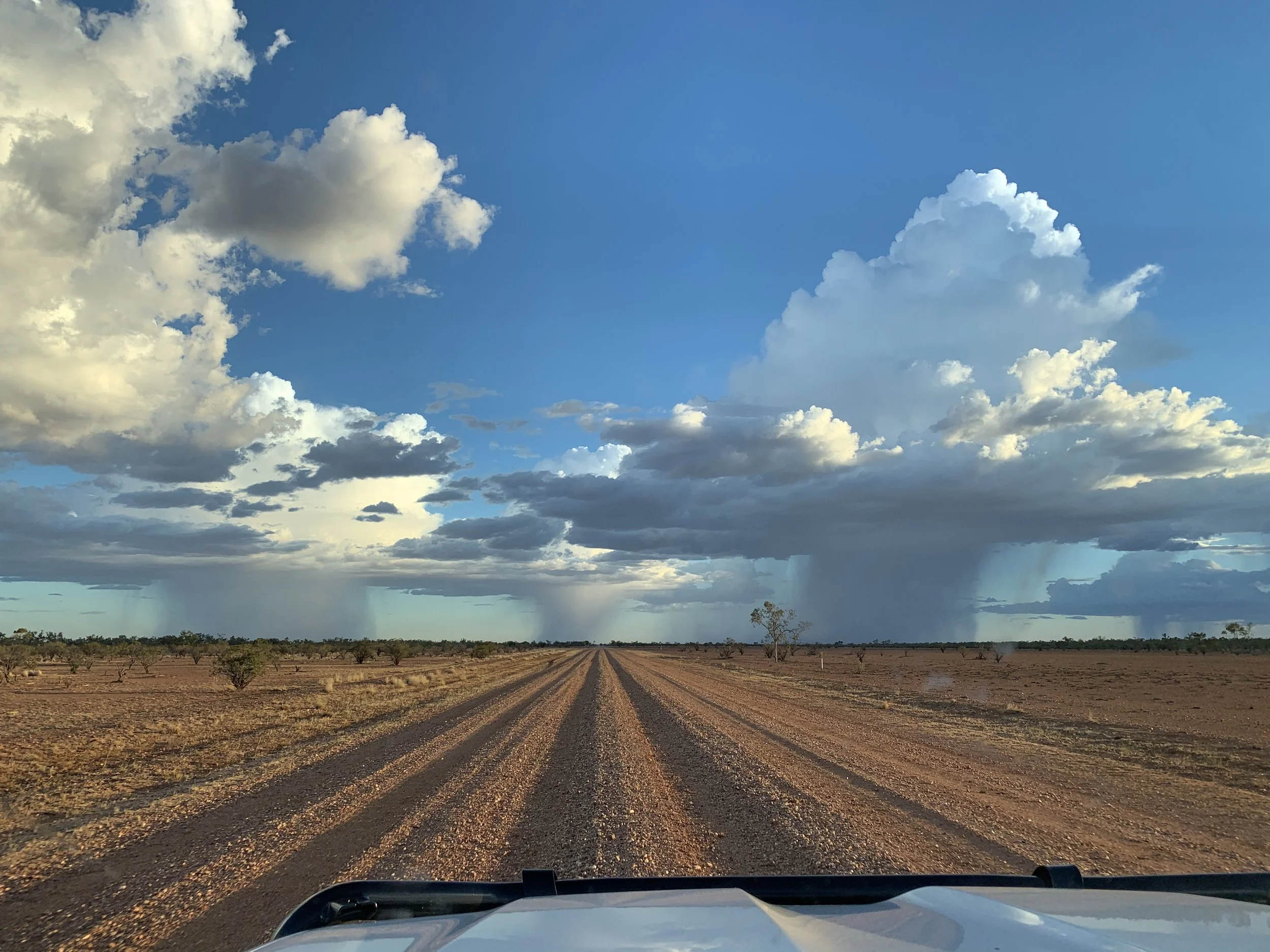 A dirt road running through a flat, arid landscape with sparse small trees and bushes. Dark rainclouds and rain showers are visible in the distance beneath a partly cloudy sky.