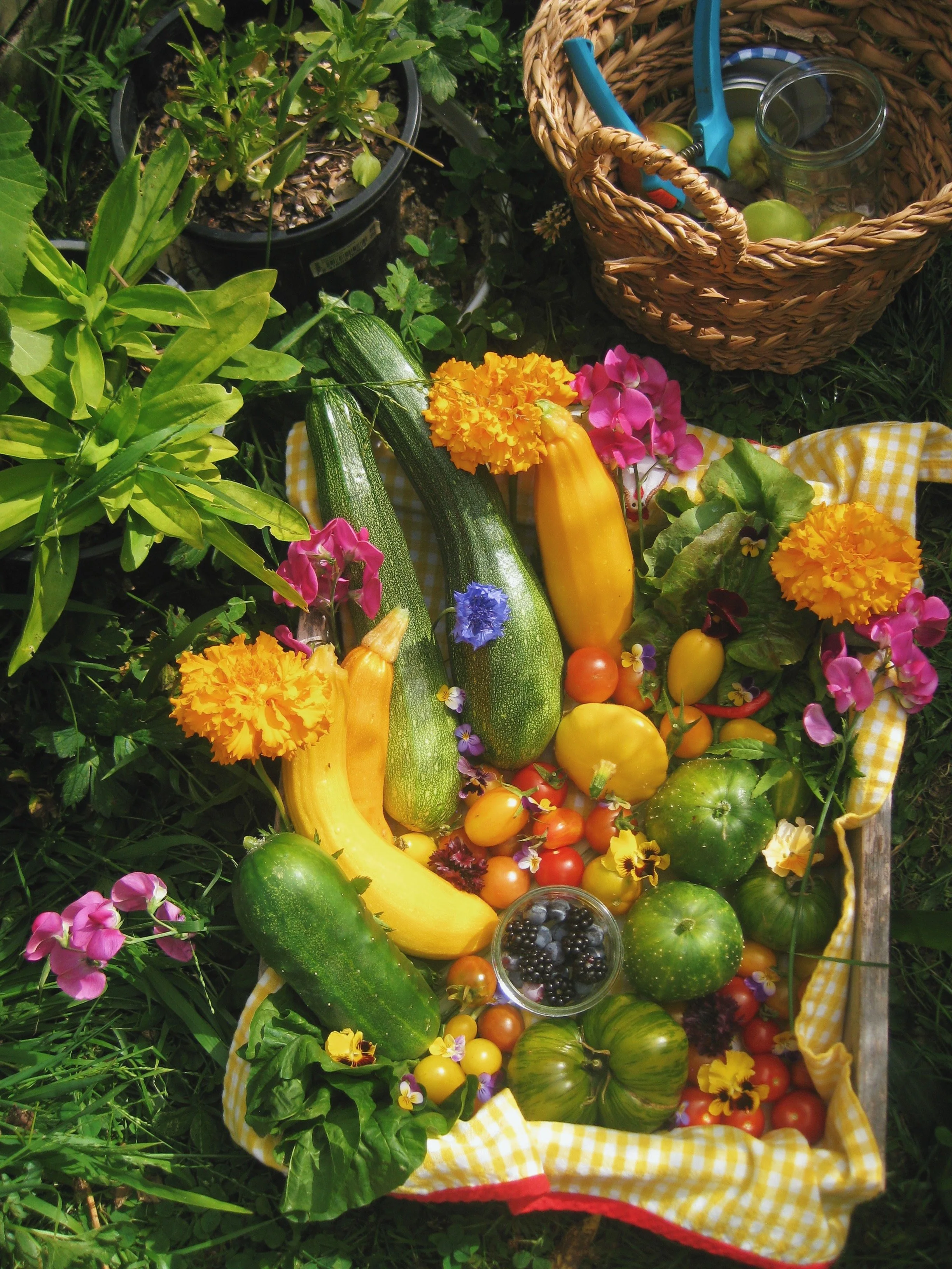 FullSizeRender_VSCO 9.JPG