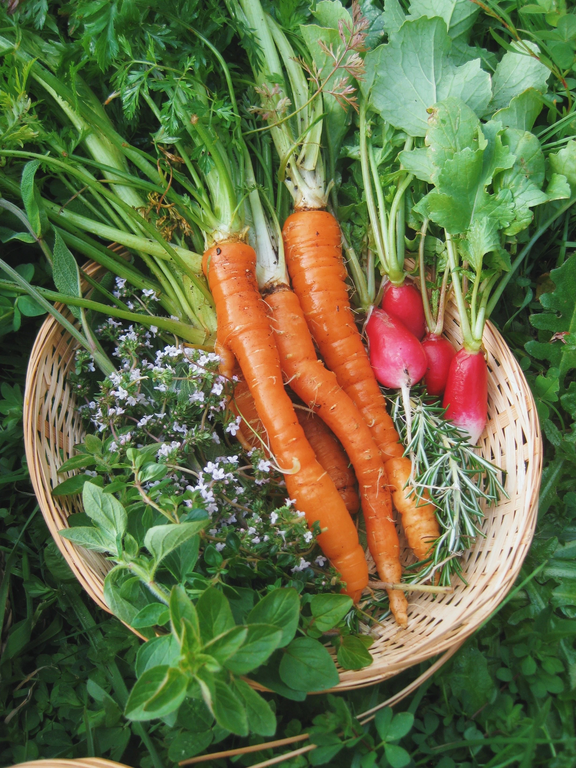 FullSizeRender_VSCO 2.JPG