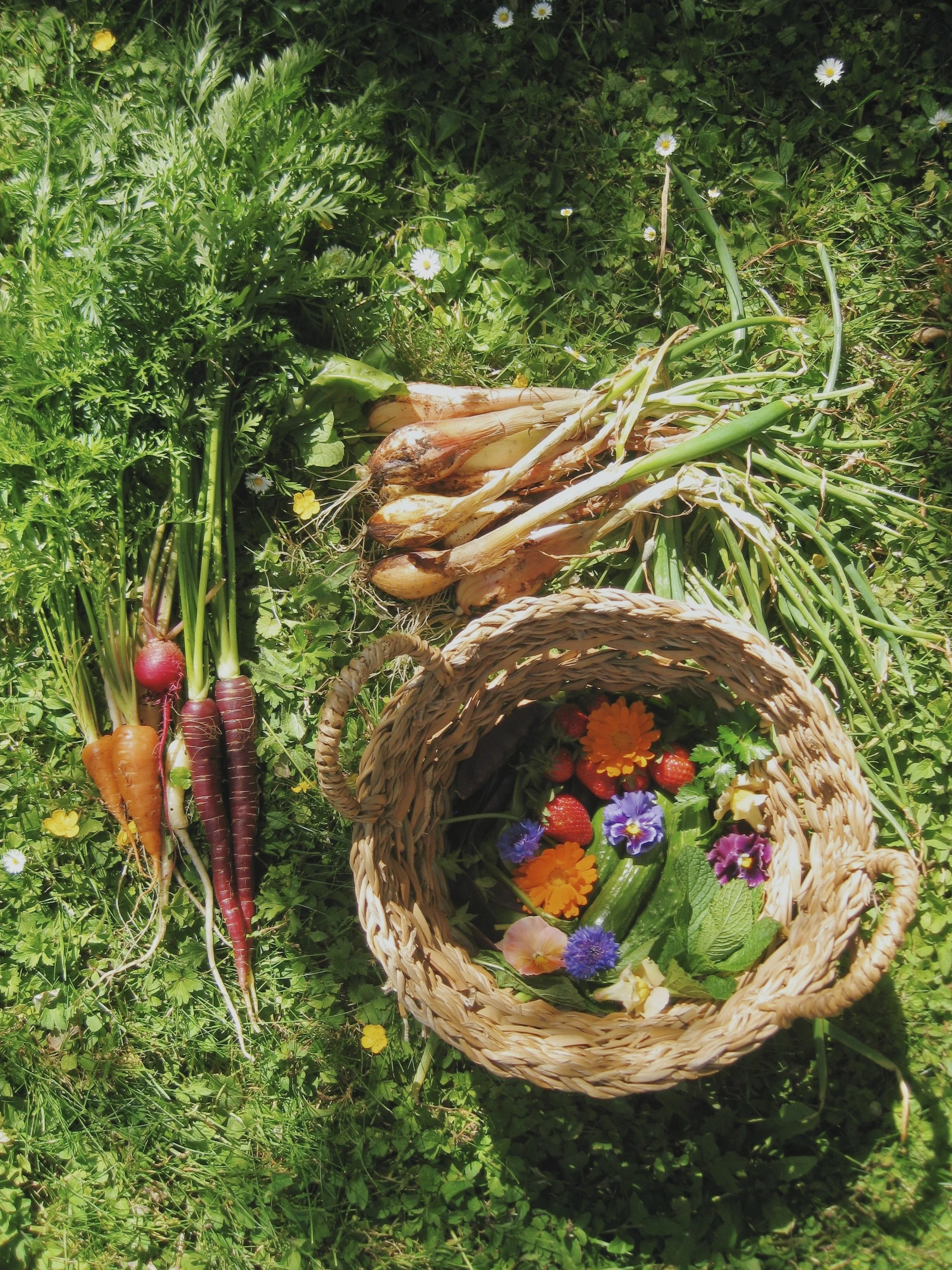 FullSizeRender_VSCO 28.jpg