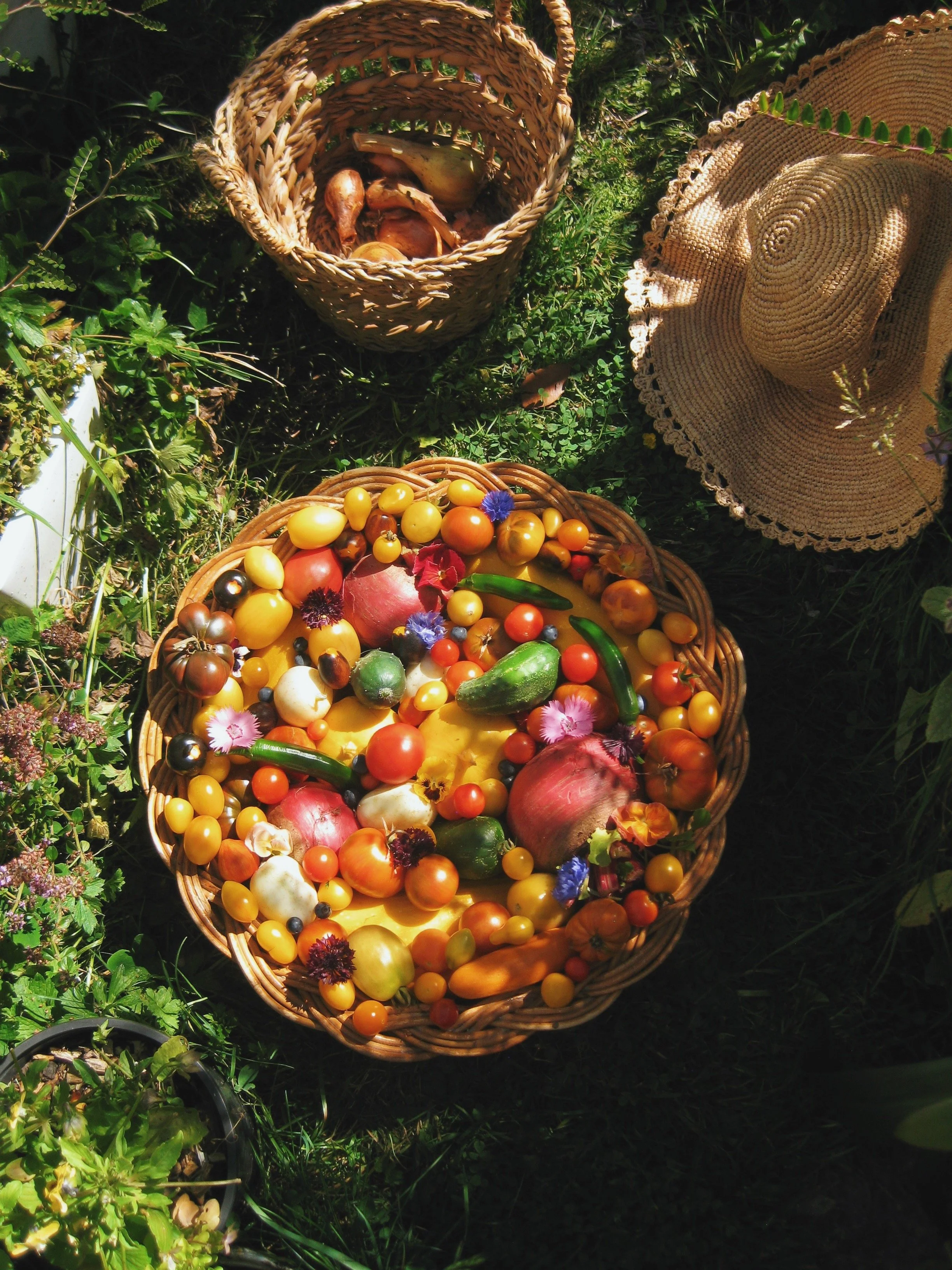 FullSizeRender_VSCO 13.JPG