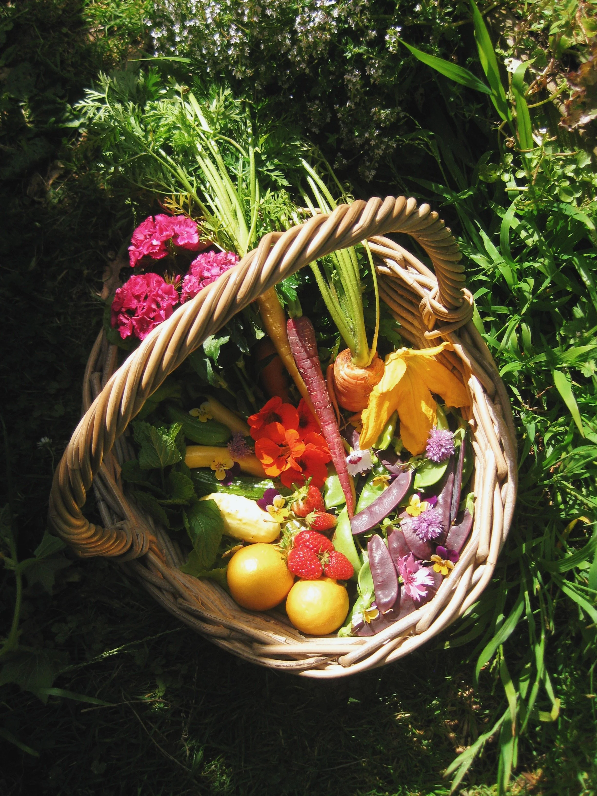 FullSizeRender_VSCO 22.JPG