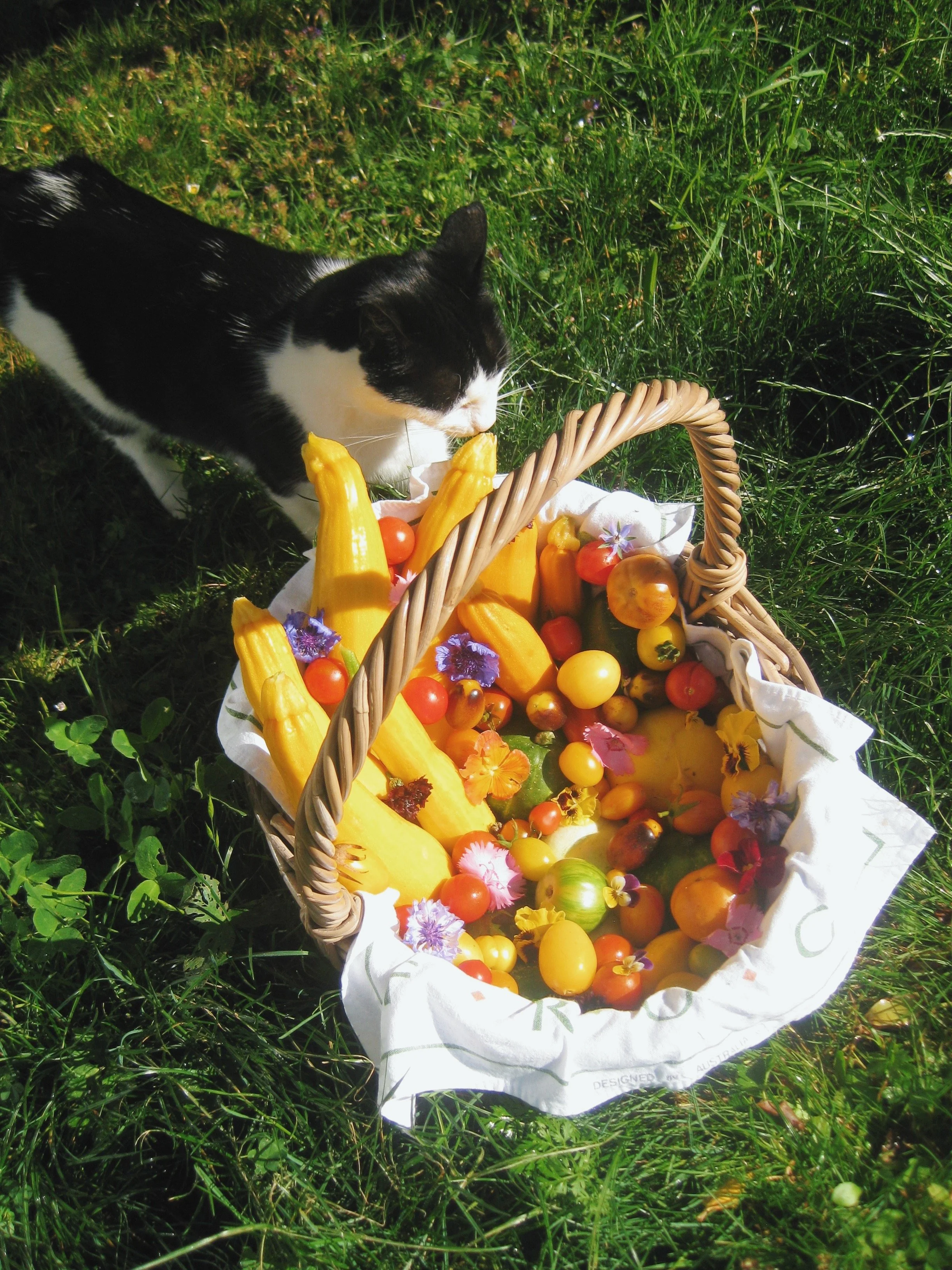 FullSizeRender_VSCO 10.JPG