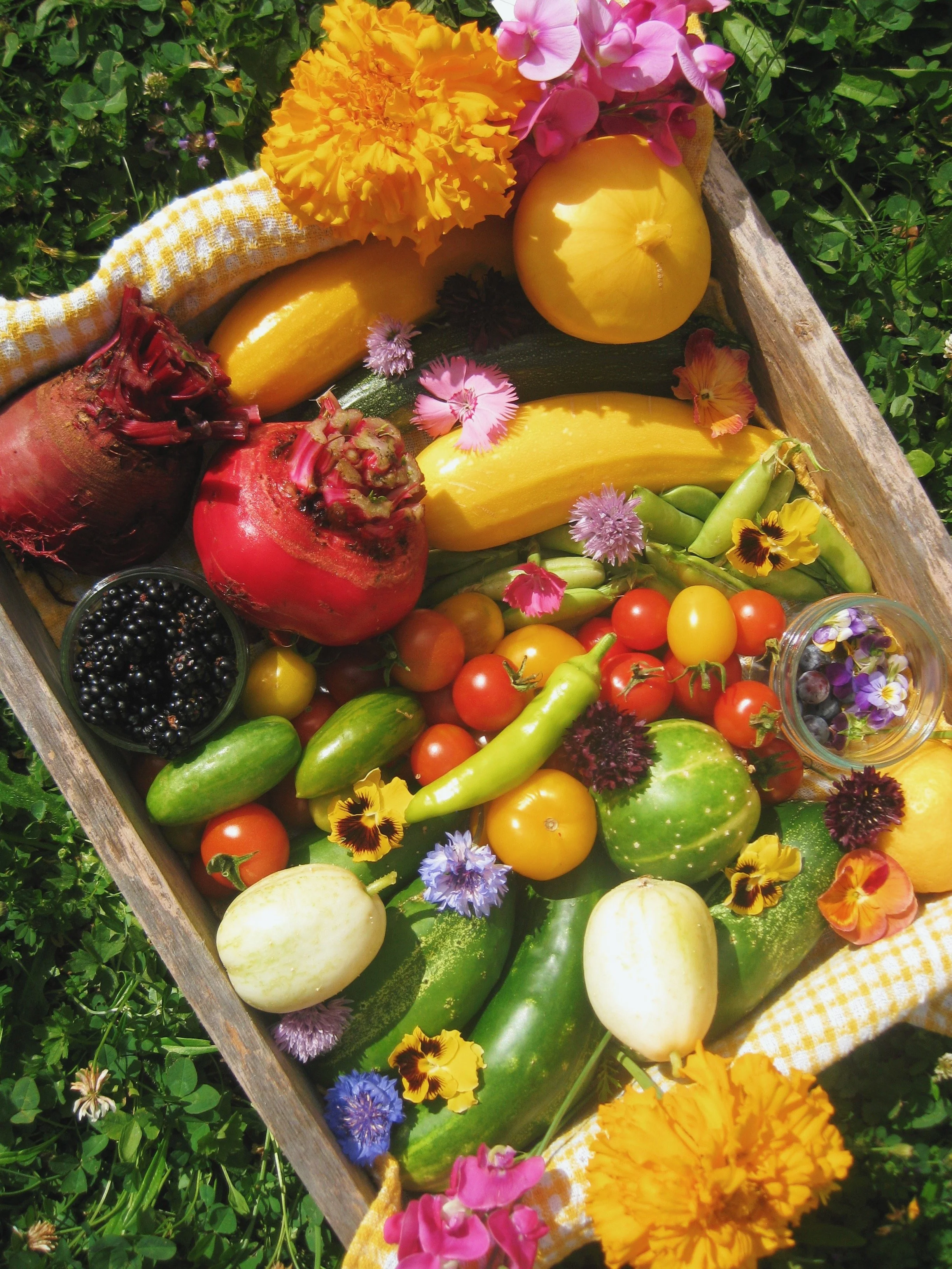 FullSizeRender_VSCO 5.JPG