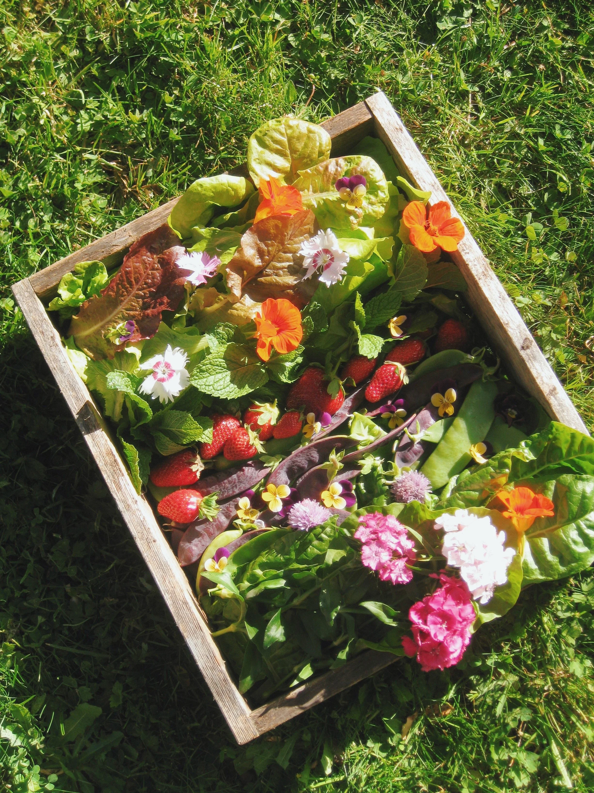 FullSizeRender_VSCO 19.JPG