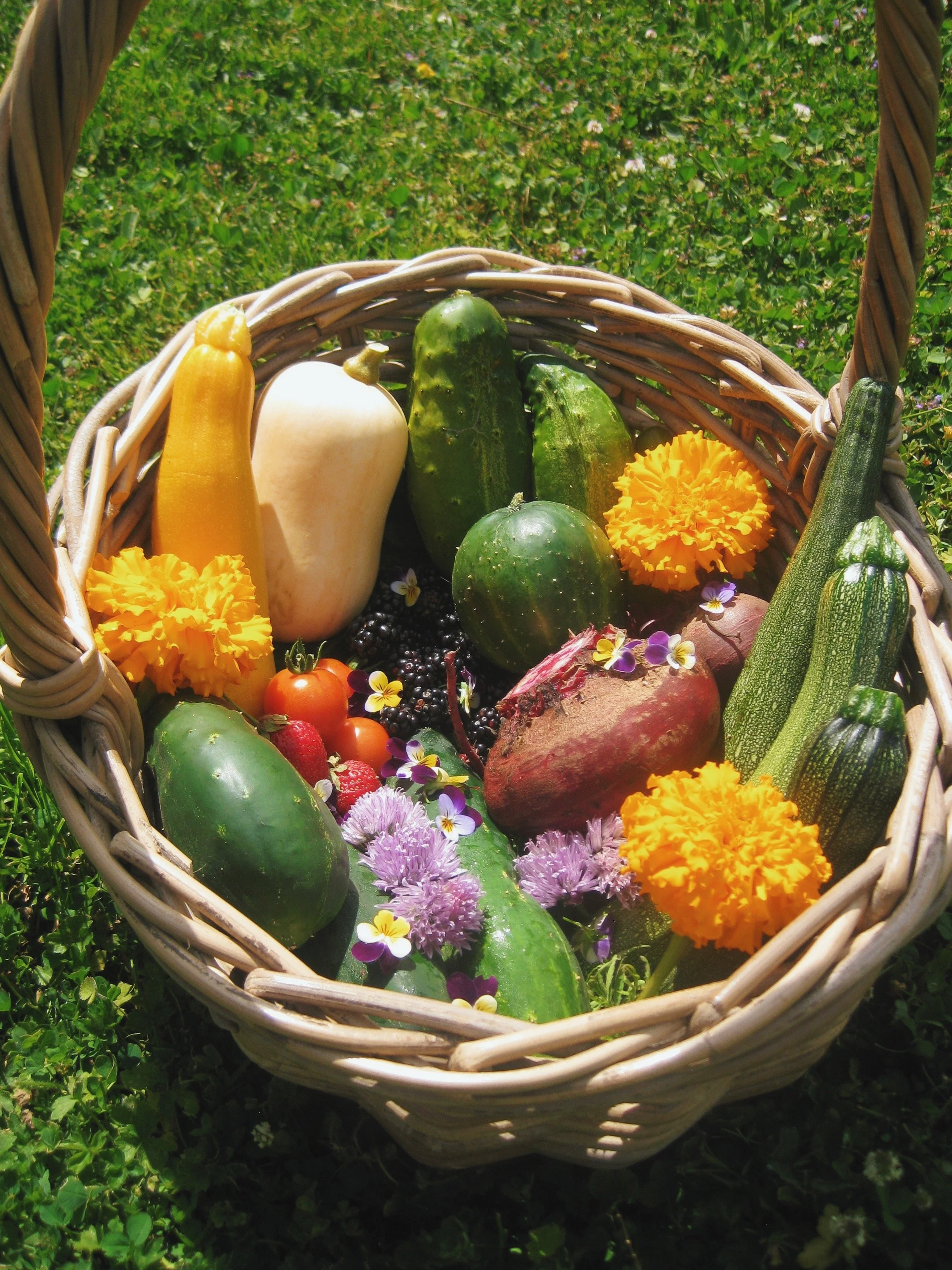 FullSizeRender_VSCO 3.JPG