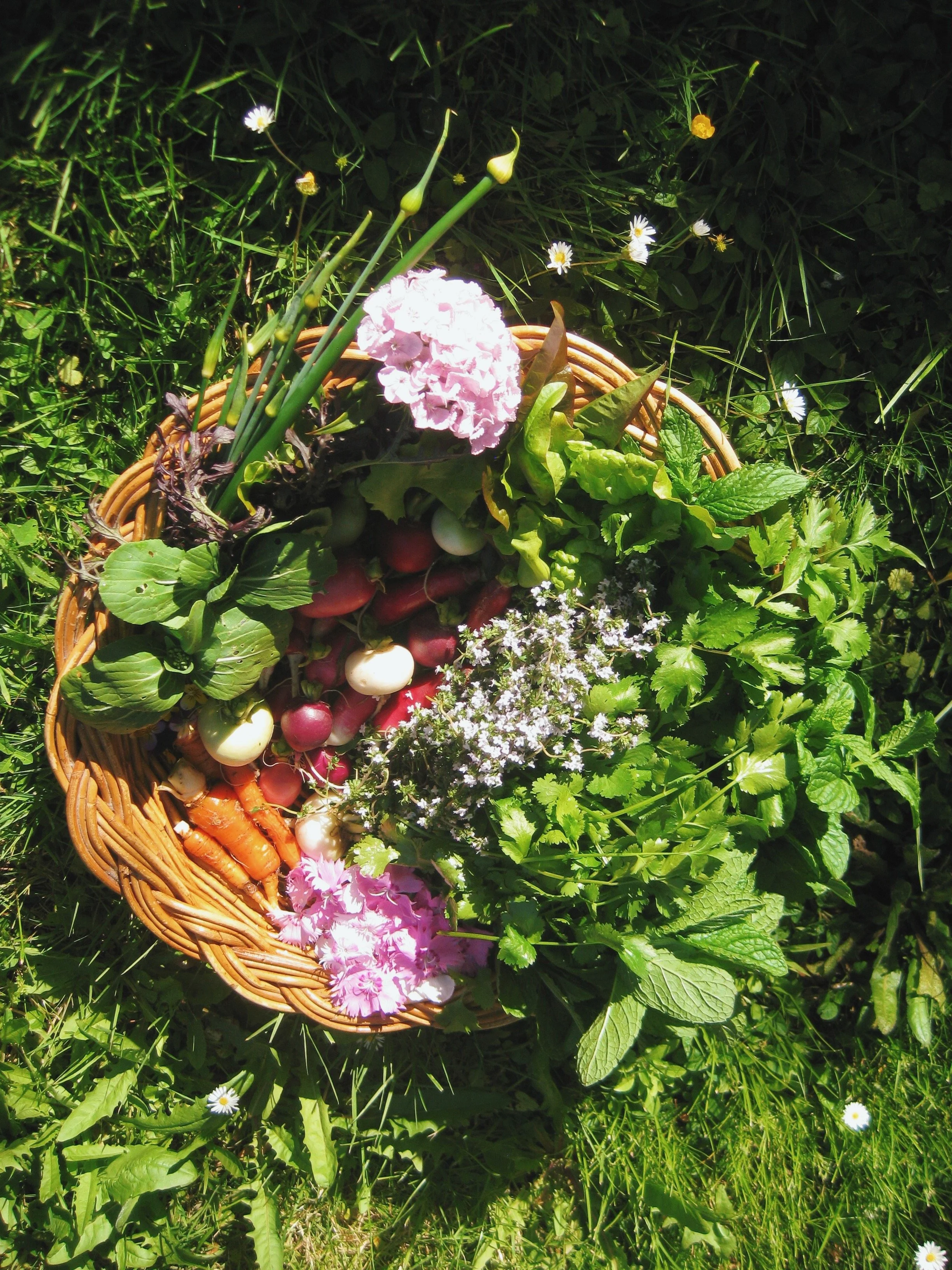 FullSizeRender_VSCO 6.JPG