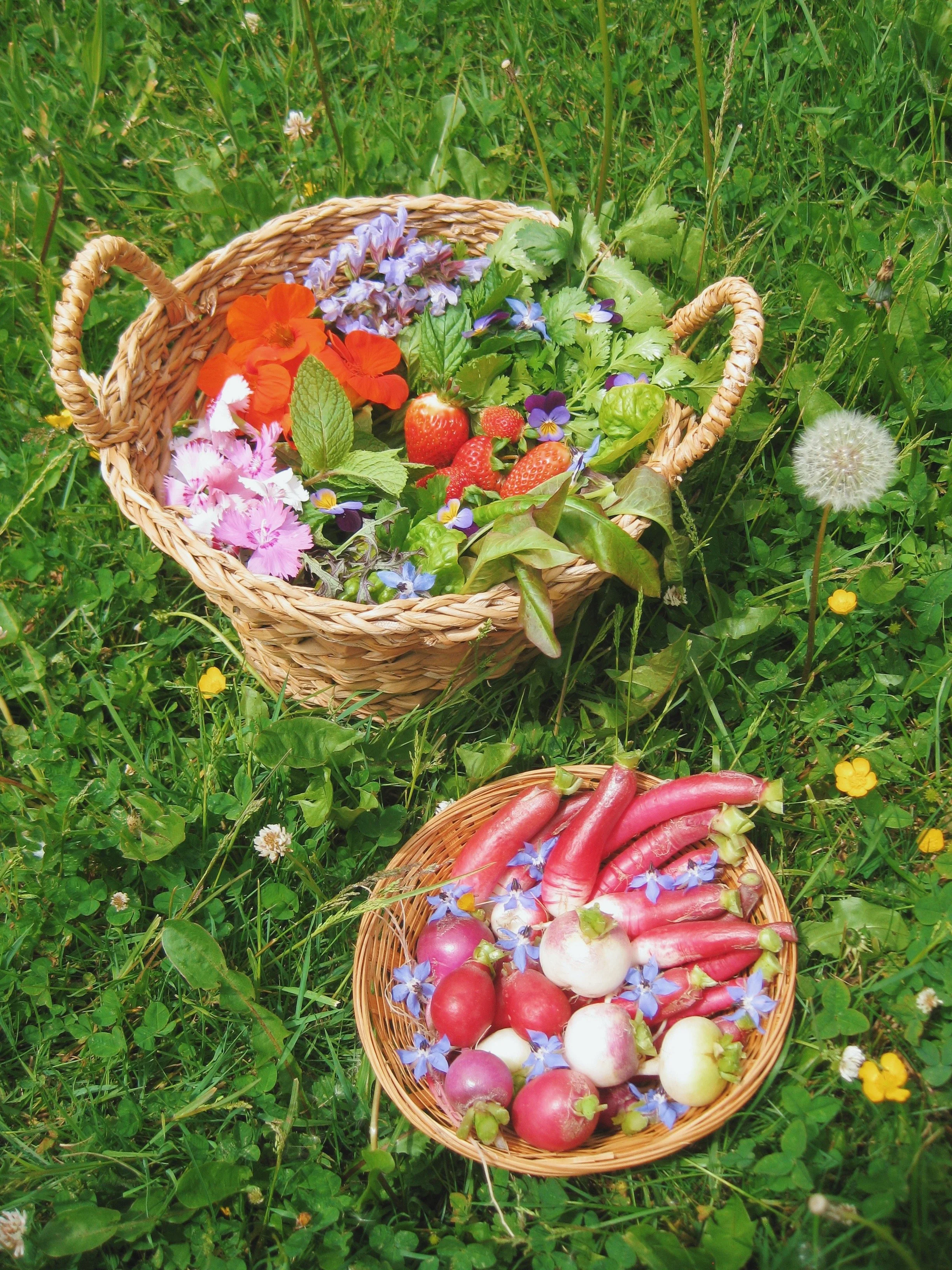 FullSizeRender_VSCO 12.JPG