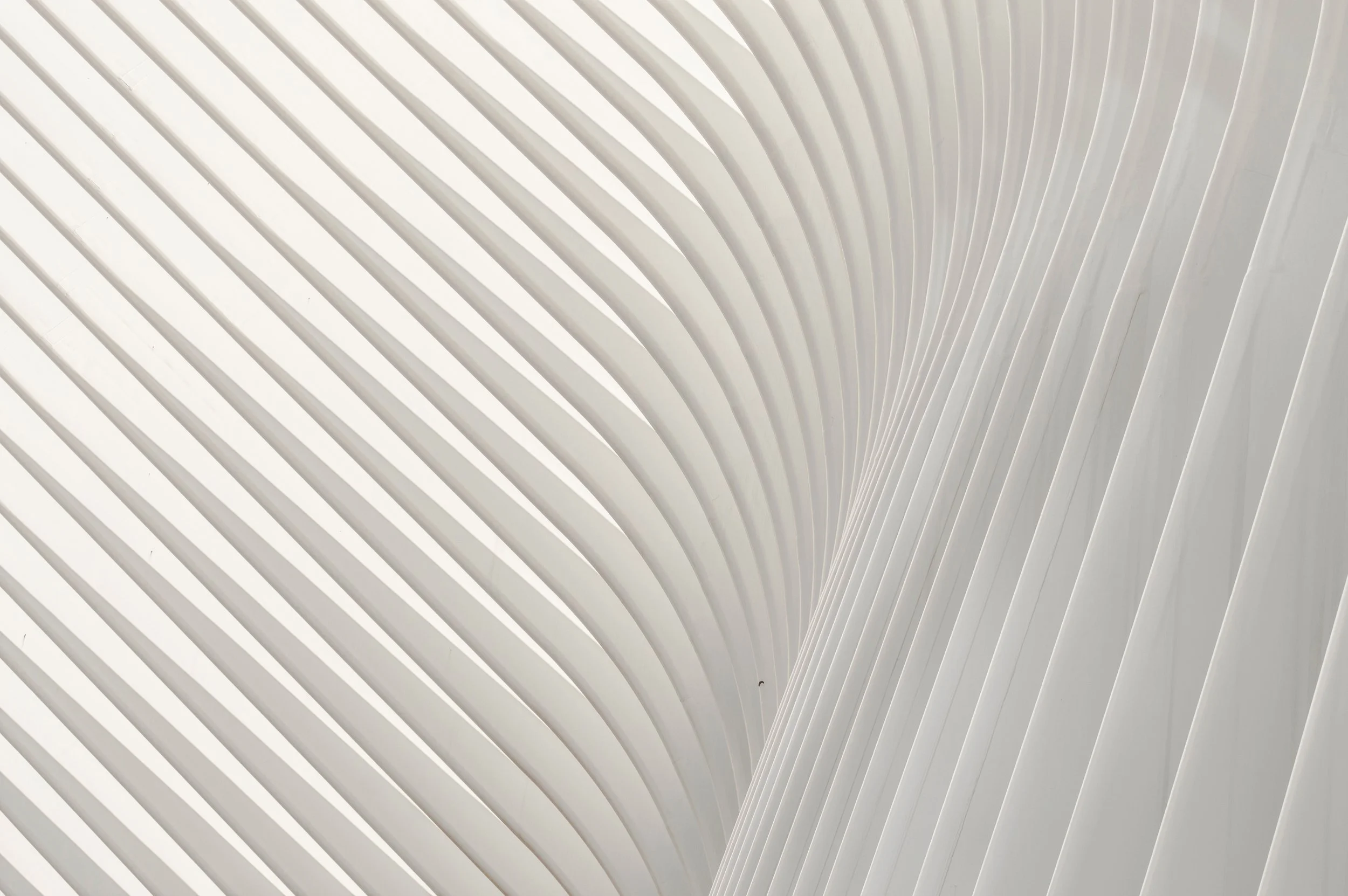 Close-up view of white curved architectural panels with evenly spaced vertical lines.