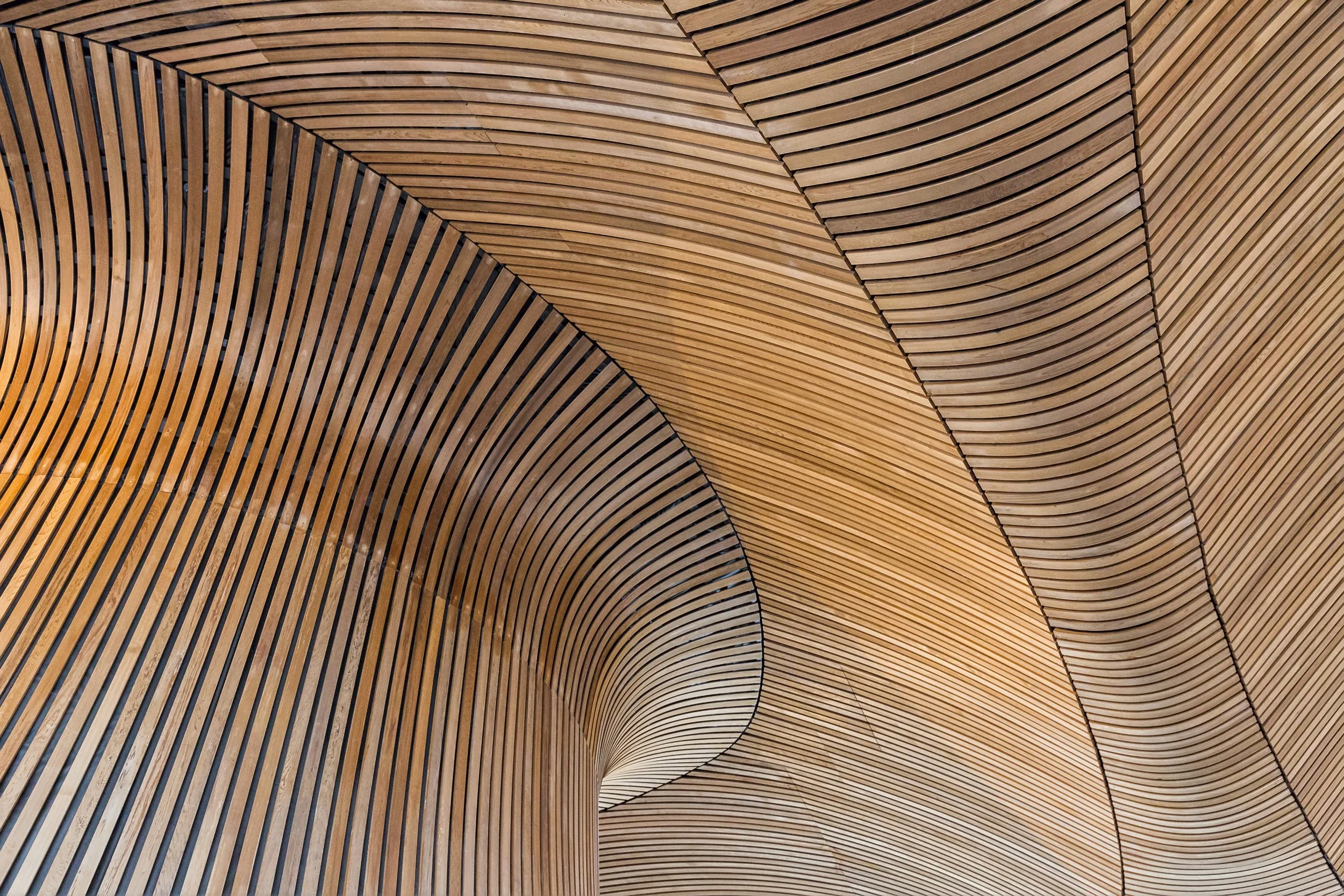 Interior view of a modern architectural ceiling made of curved, parallel wooden slats forming an abstract, flowing pattern.