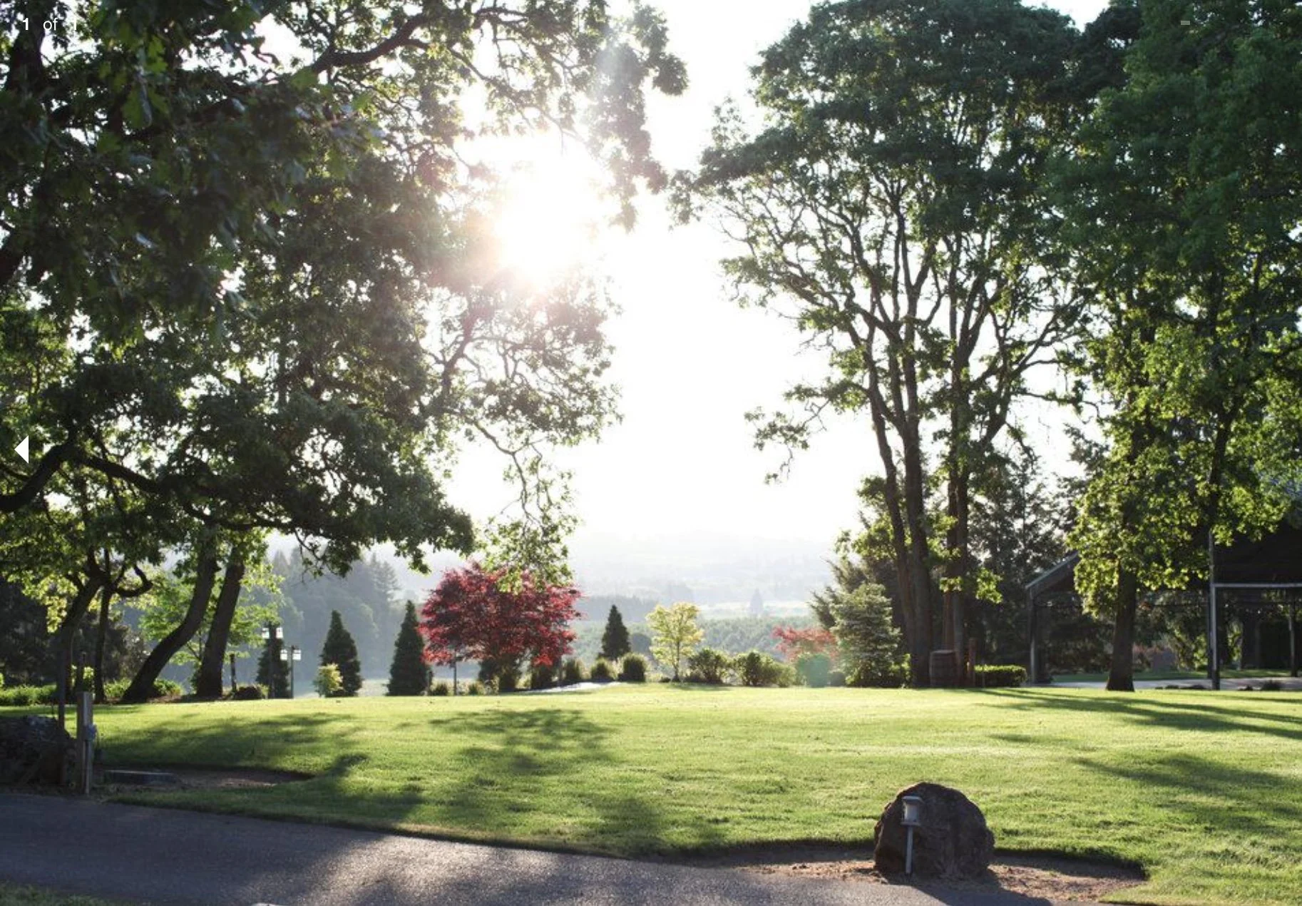 Image 4-29-26 at 12.12 AM.jpeg