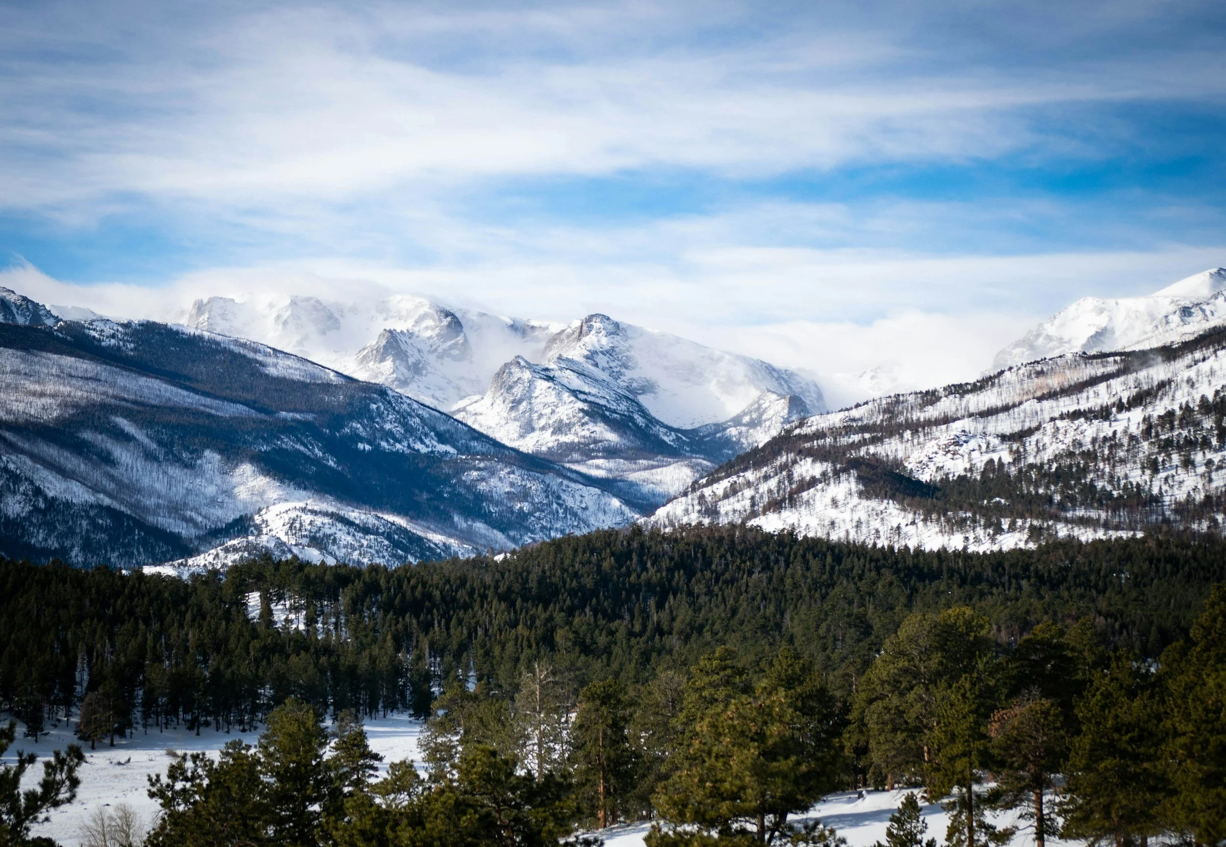 Snow-covered mountain range under a partly cloudy sky, with a forest of mostly evergreen trees in the foreground.