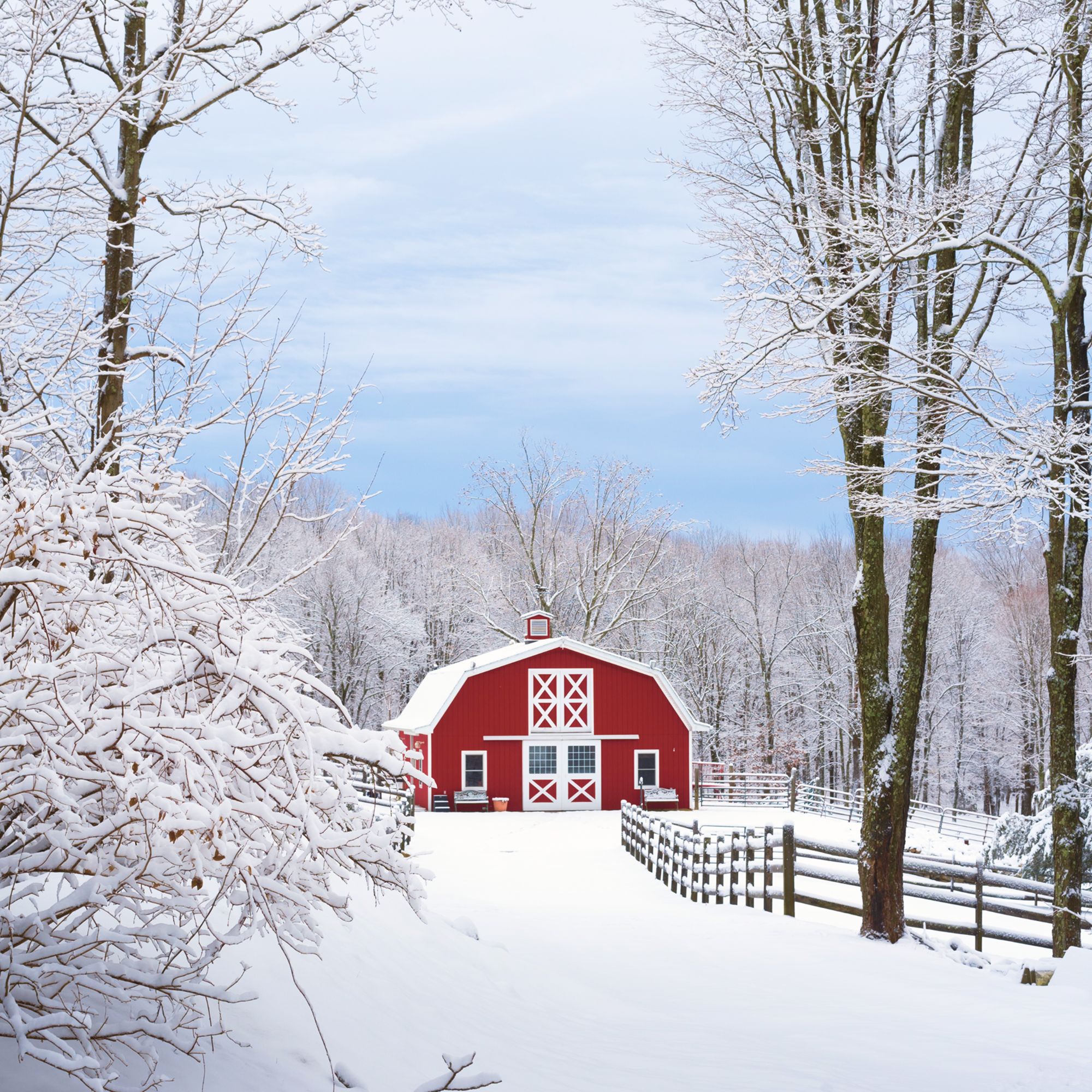 Snow-covered farm scene with a red barn, trees with snow on branches, a wooden fence, and a cloudy sky.