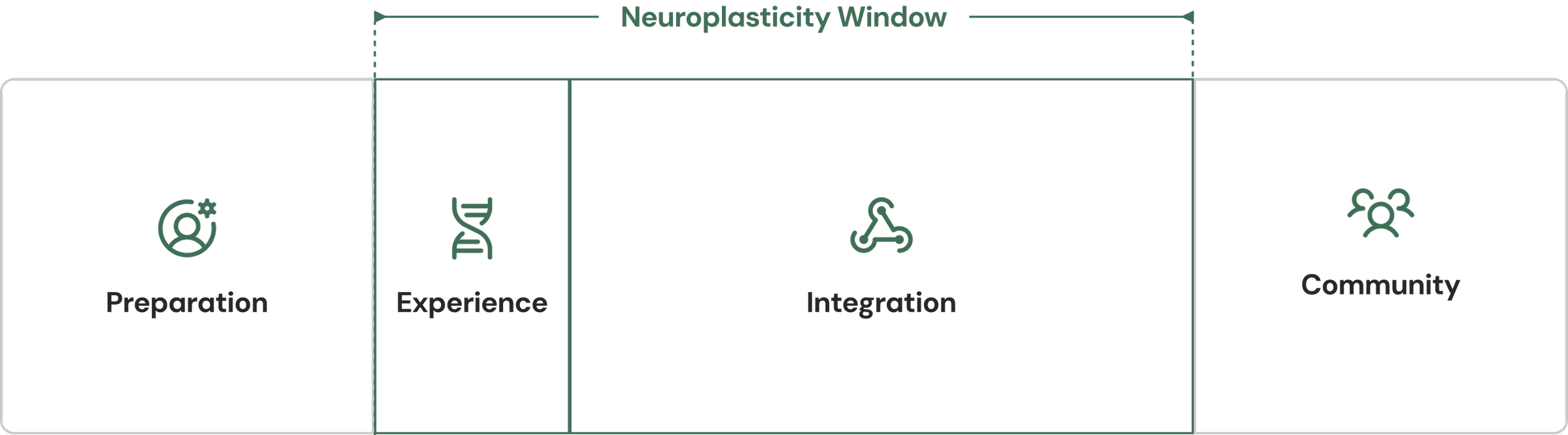 Diagram illustrating neuroplasticity with four sections labeled Preparation, Experience, Integration, and Community, connected by a neuroplasticity window at the top.