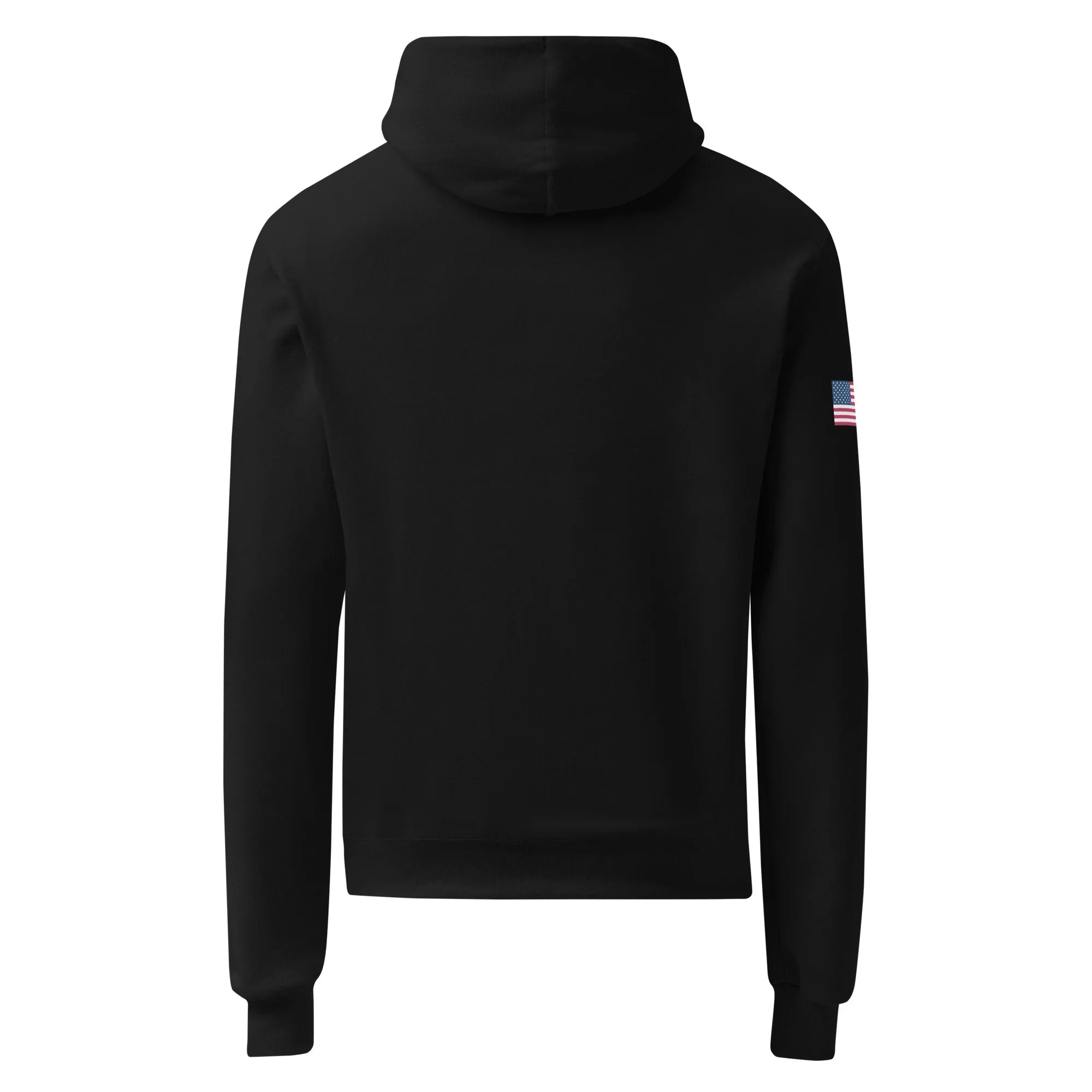 unisex-champion-hoodie-black-back-6908213fa6ea2.jpg.webp