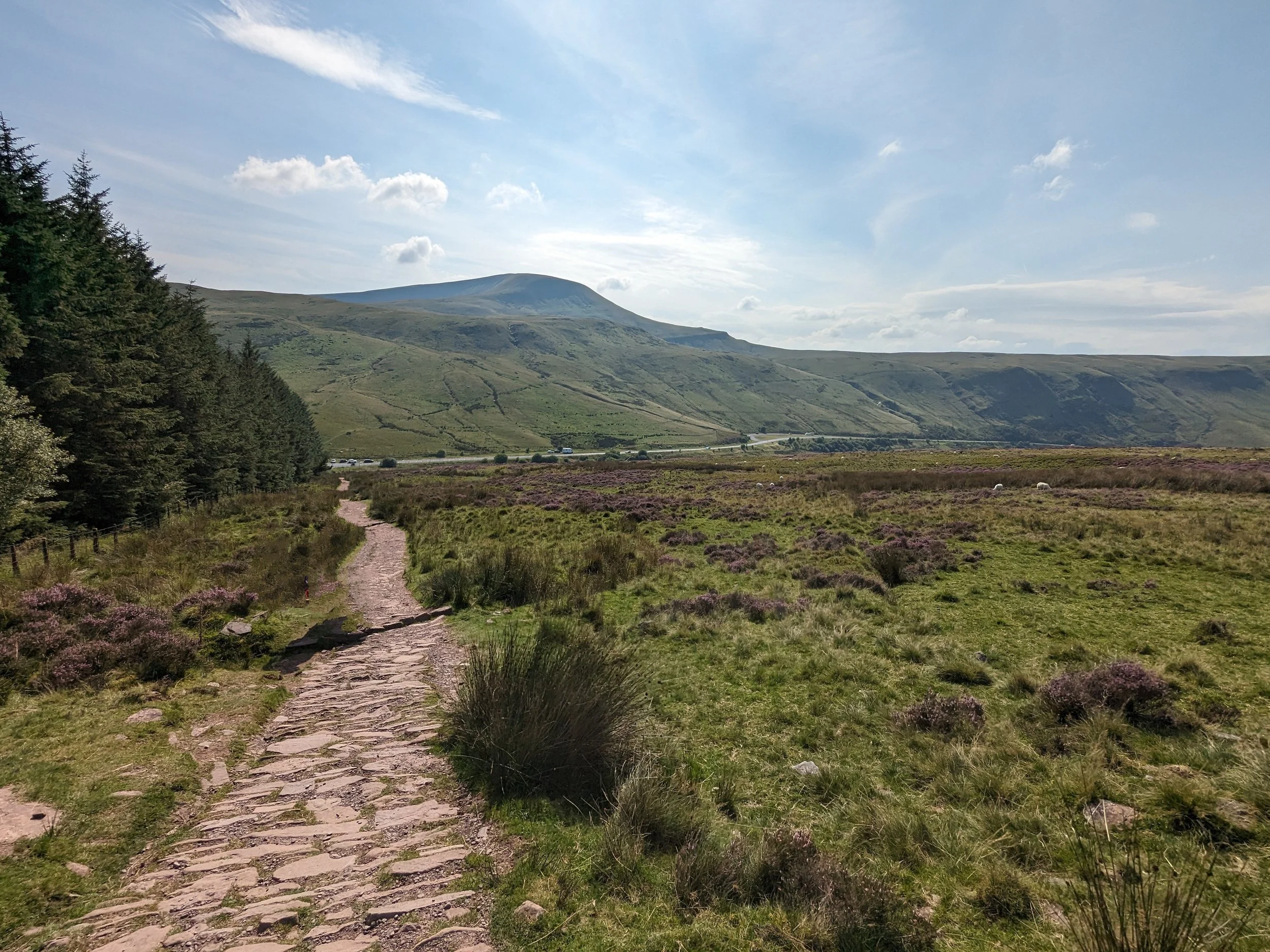 A dirt stone trail in a grassy landscape with purple heather and bushes, green mountain in the distance under a blue sky with scattered clouds.