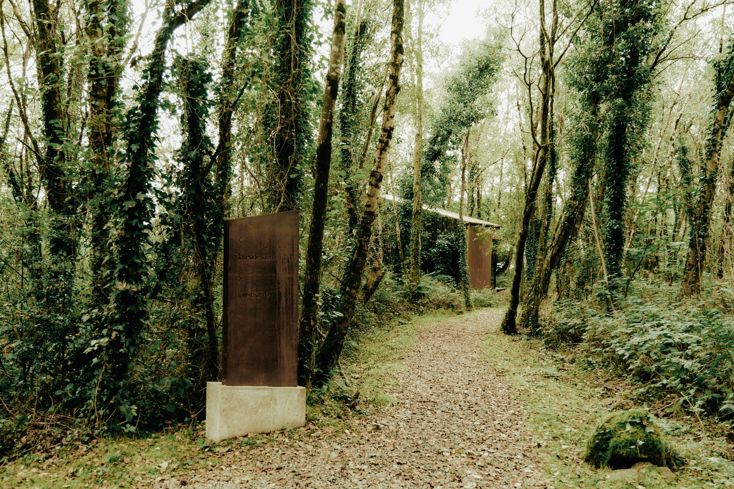 Sendero en bosque con señal de madera que indica áreas de sauna y bosque de sauna, rodeado de árboles y vegetación.
