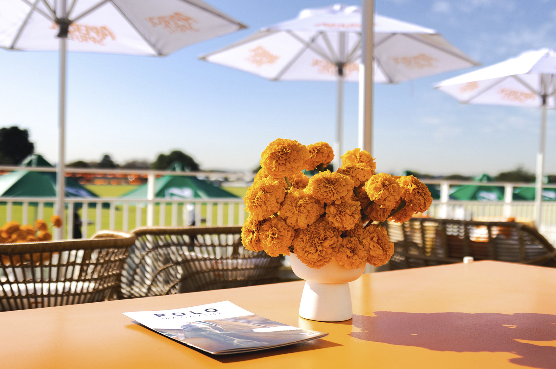 Screenshot 2026-01-08 at 16.58.37.png