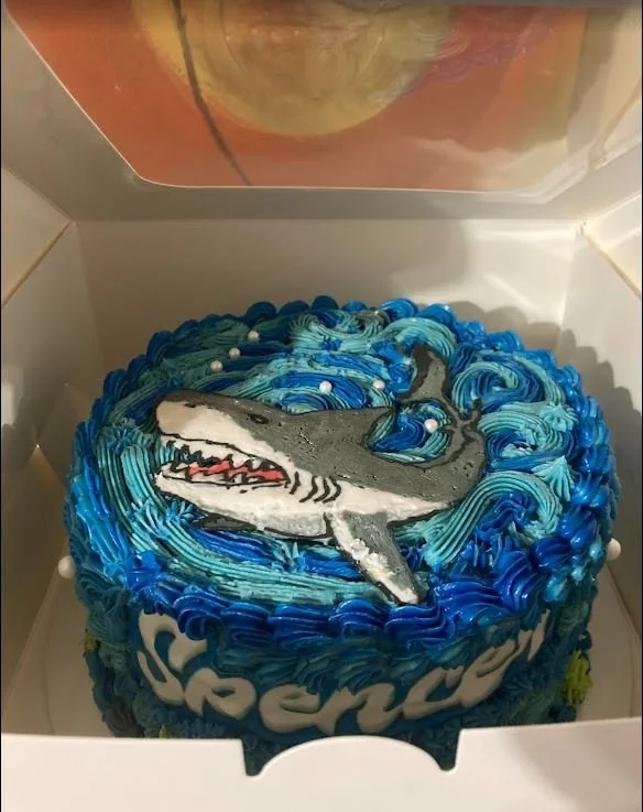 Sharke Cake_drawing.JPG