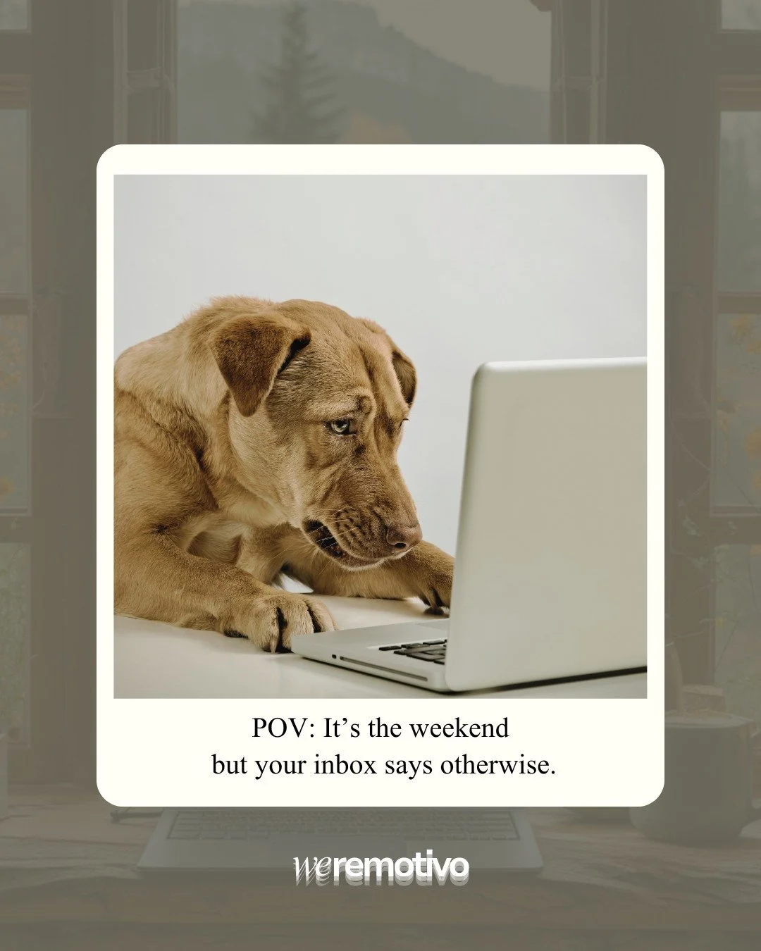 Weekends look different when you run a business 😅

If this feels familiar, there is a better way to handle the backend 👀 Contact us today. Link in bio. 

#WeekendMood #BusinessLife #WeRemotivo