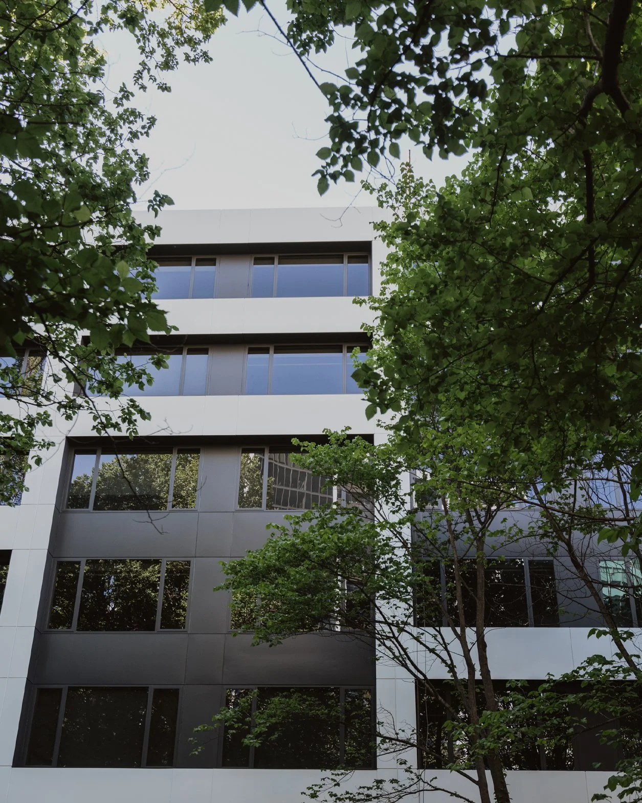 Crowne Plaza (Newsletter).jpg