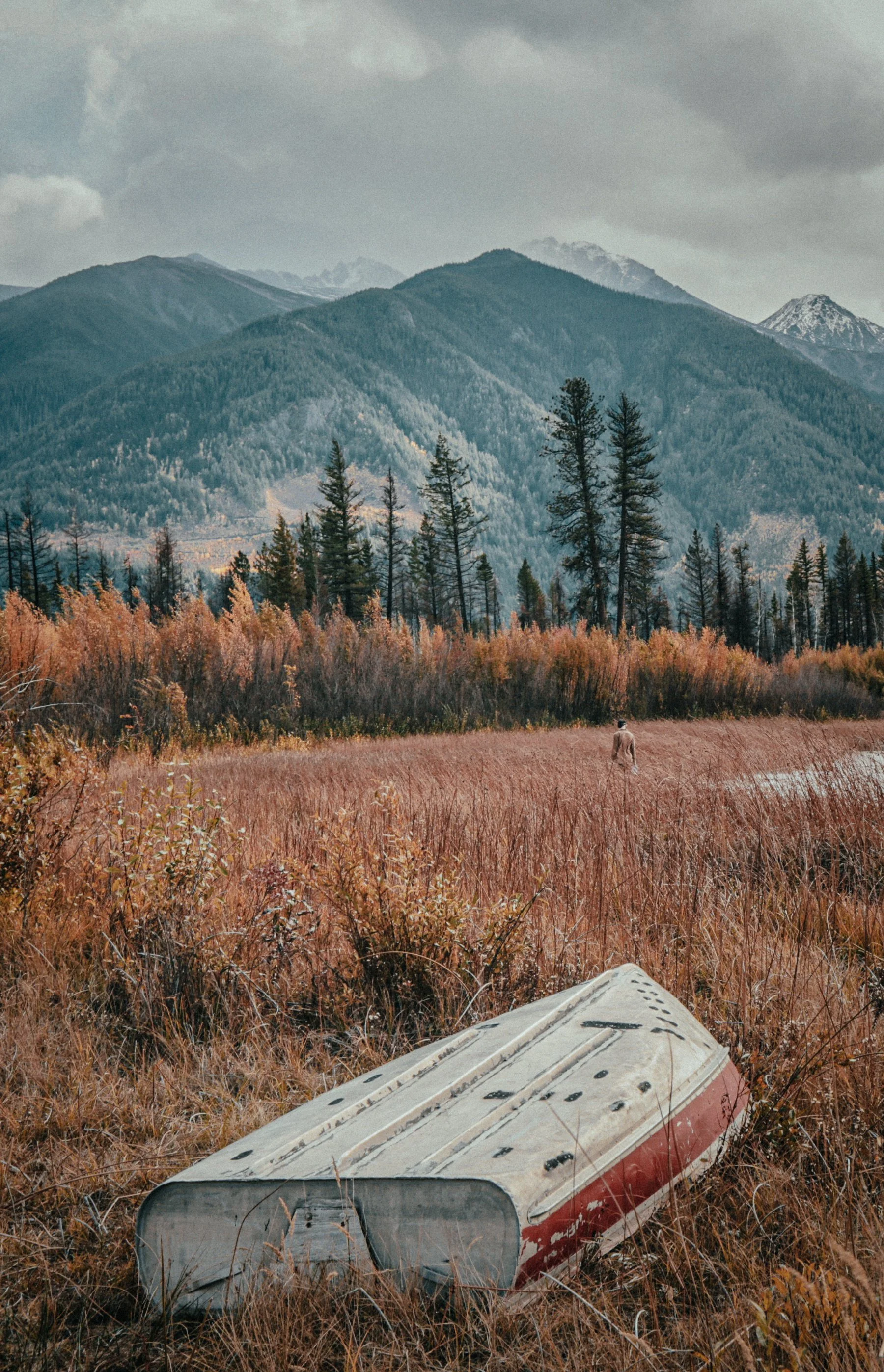 Een overwoekerd verlaten boot ligt in een veld met hoge grassen, op de achtergrond bevinden zich herfstbomen en bergen onder een bewolkte hemel.