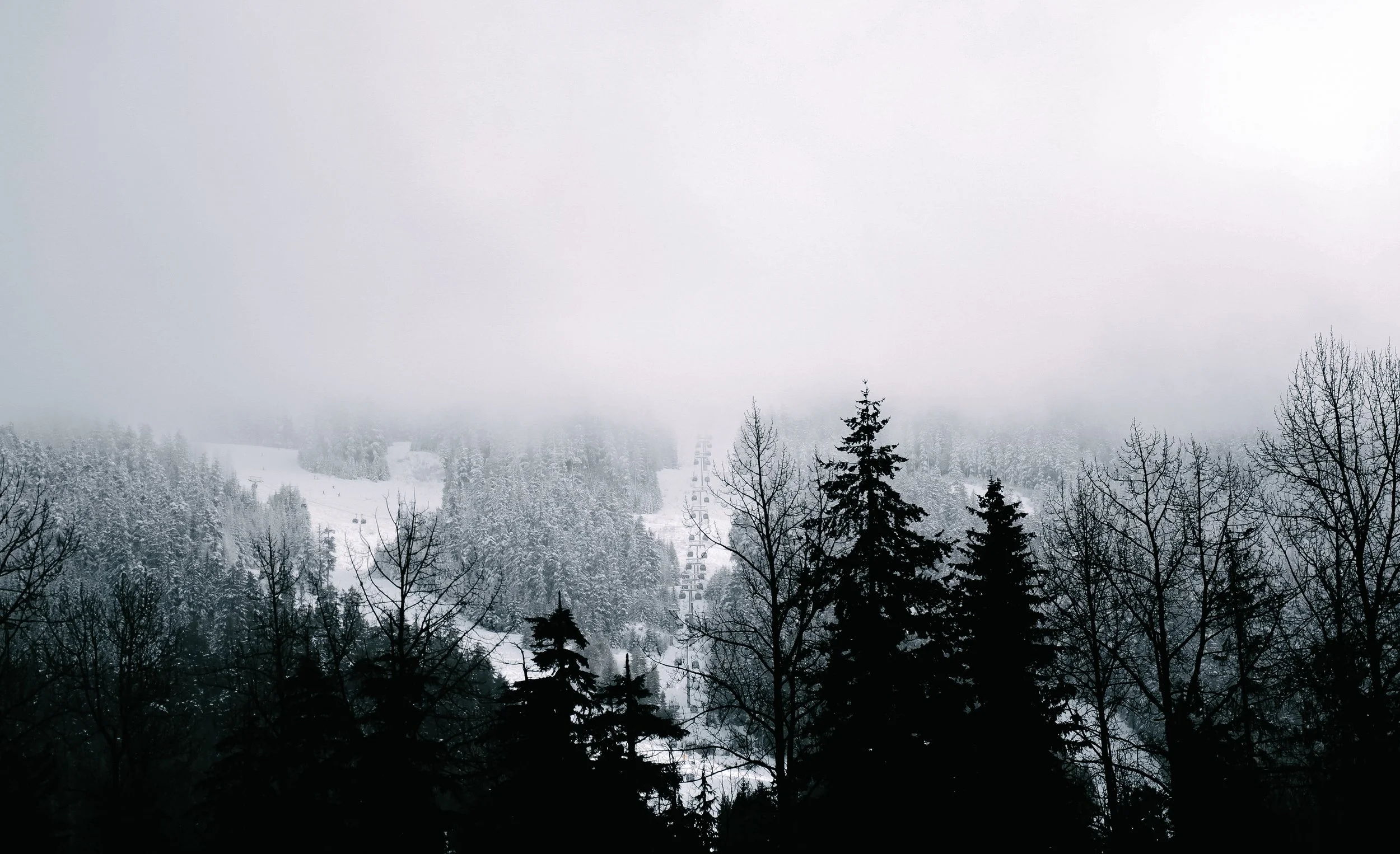 Besneeuwde bergomgeving met mist en bomen in de voorgrond, skihellingen en skiliften in de achtergrond.