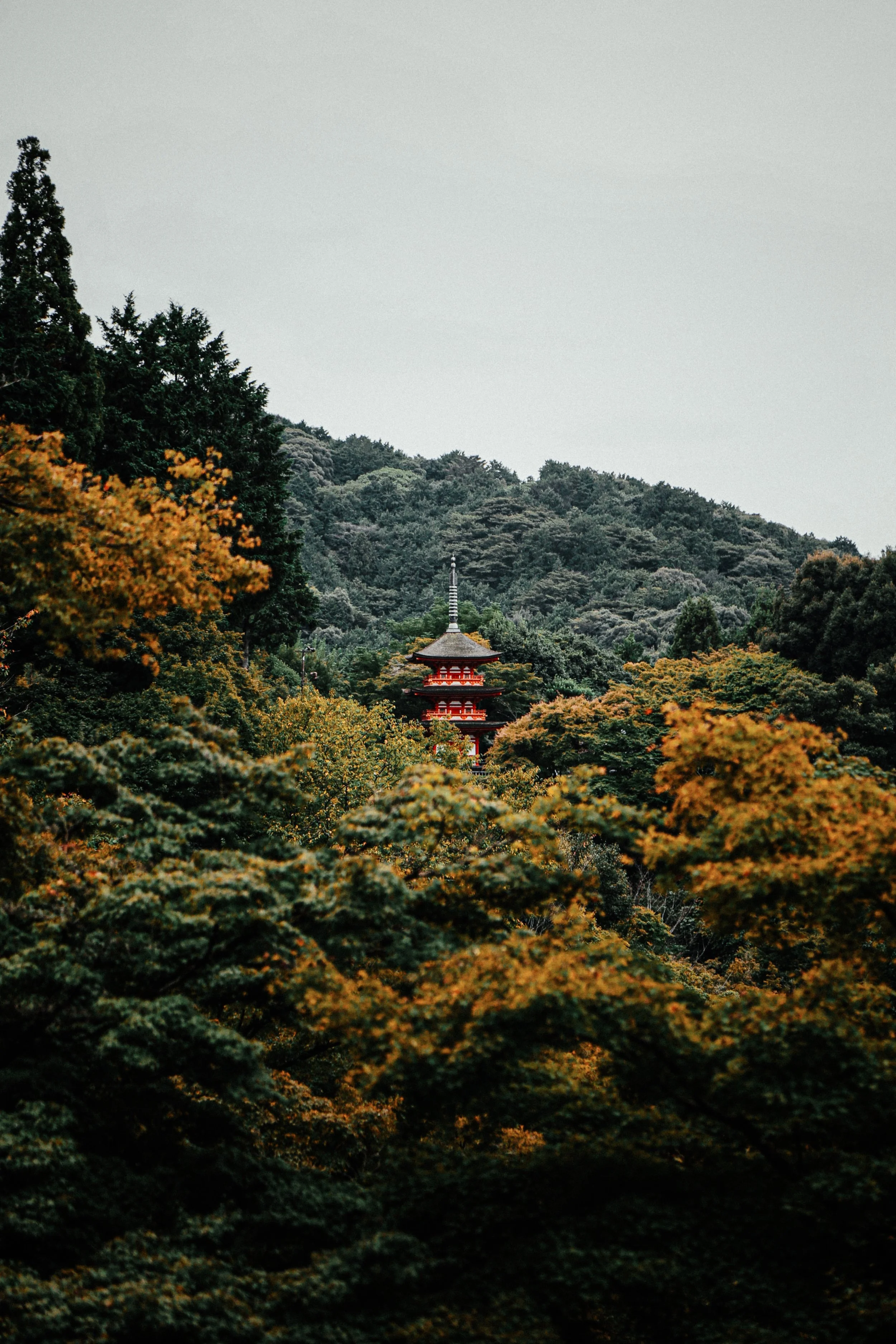 Een pagode verborgen tussen groene en oranje herfstbomen in een bos, met een heuvelachtig landschap op de achtergrond.