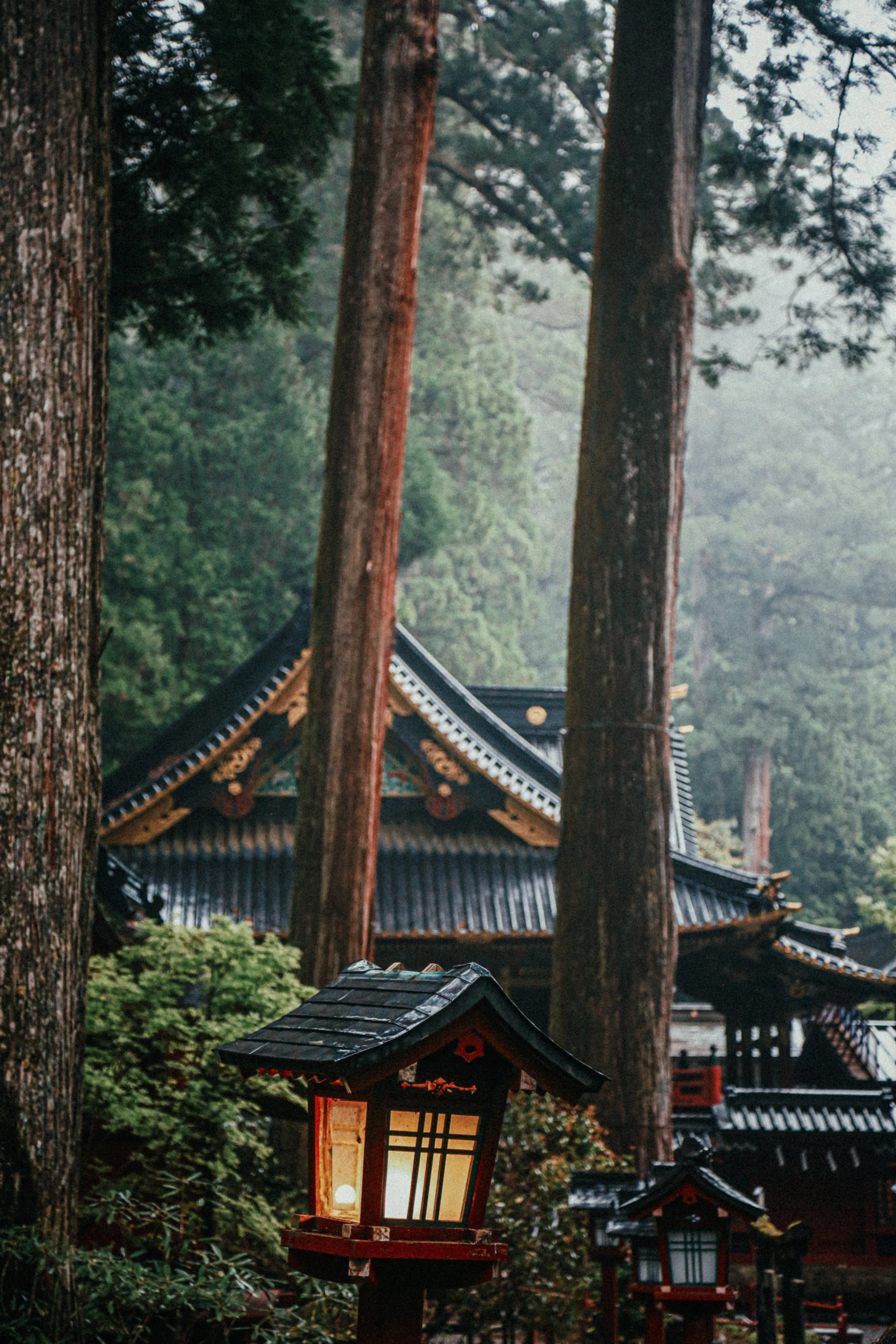 Traditionele Japanse pagode in een bos met hoge bomen, achtergrond mist en een lantaarn in de voorgrond.