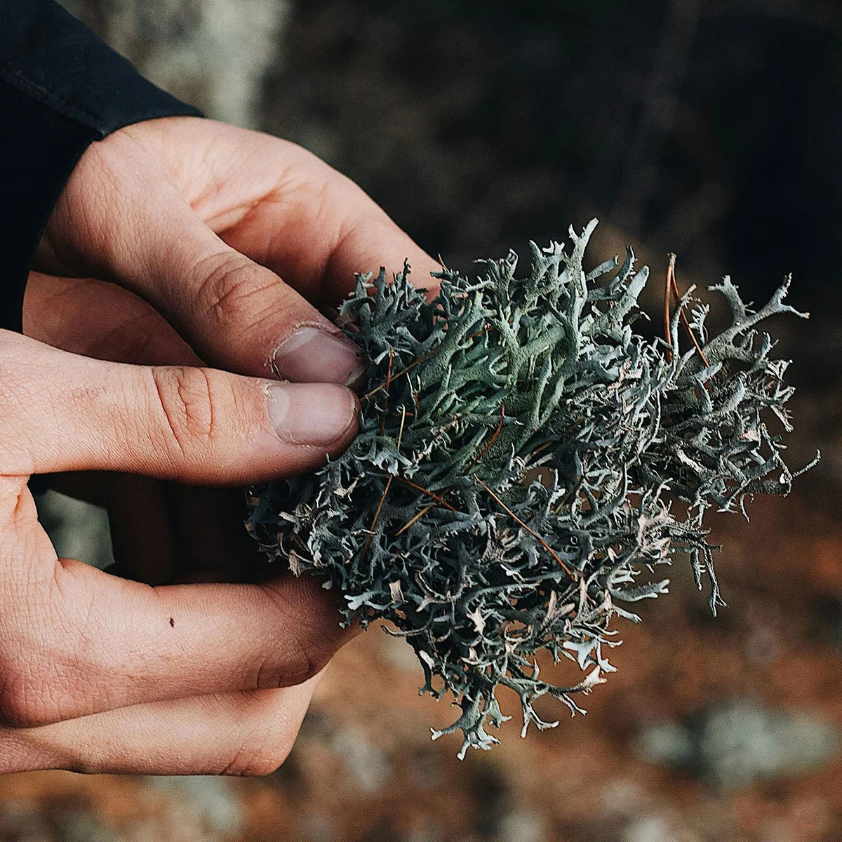 Følesansen anvendes til at få ro i sindet, sætte tempoet ned og skabe sit eget rum med plads til fordybbelse.