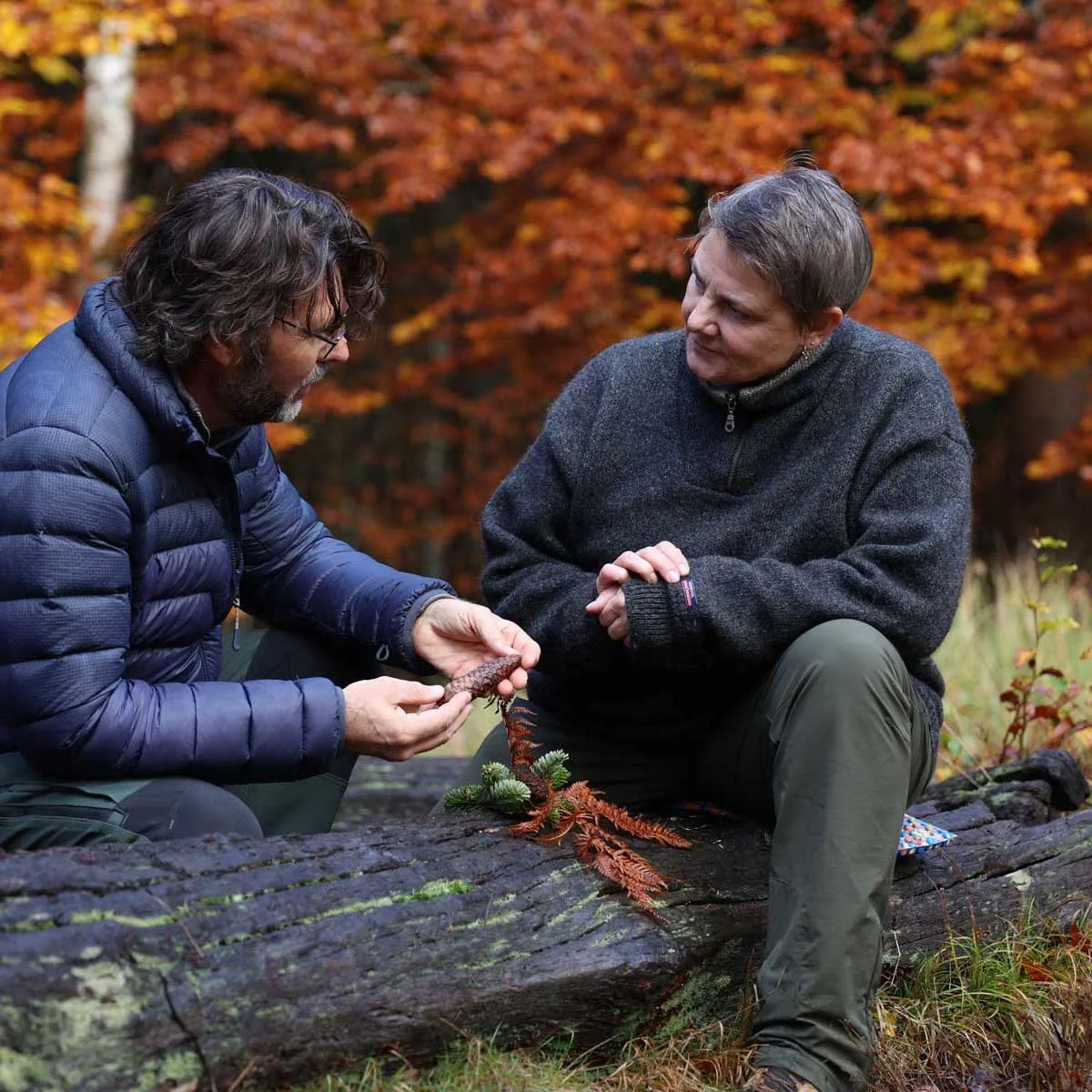 Personlig og individuel terapi, selvhjælp og personlig udvikling i naturen.
