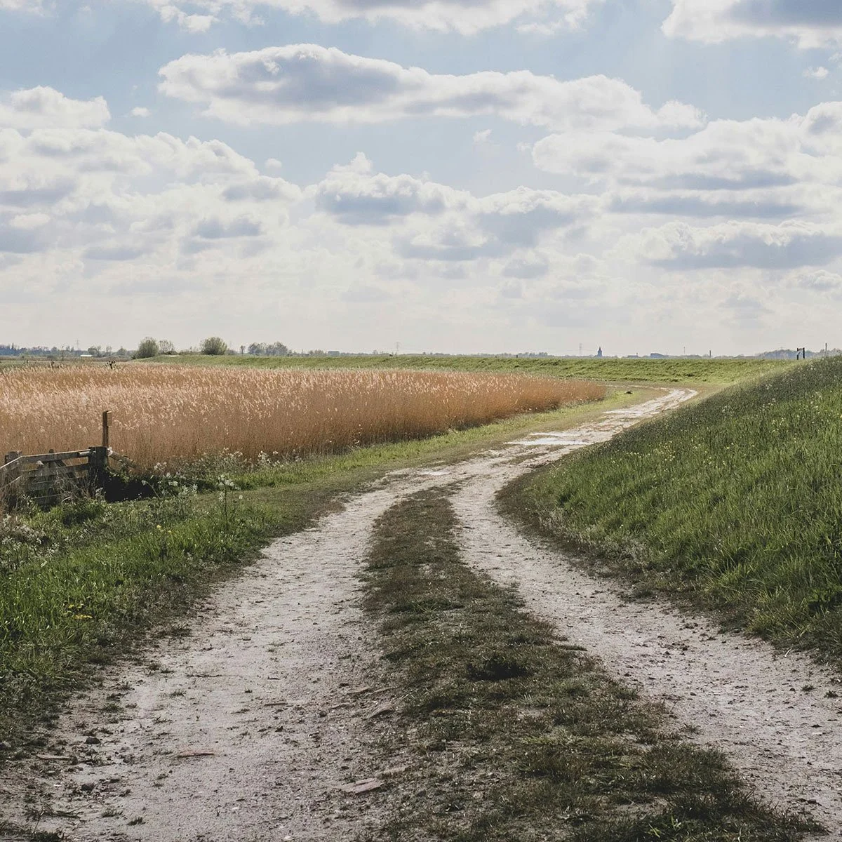 En smal vej der symboliserer vejen hjem til dig selv.