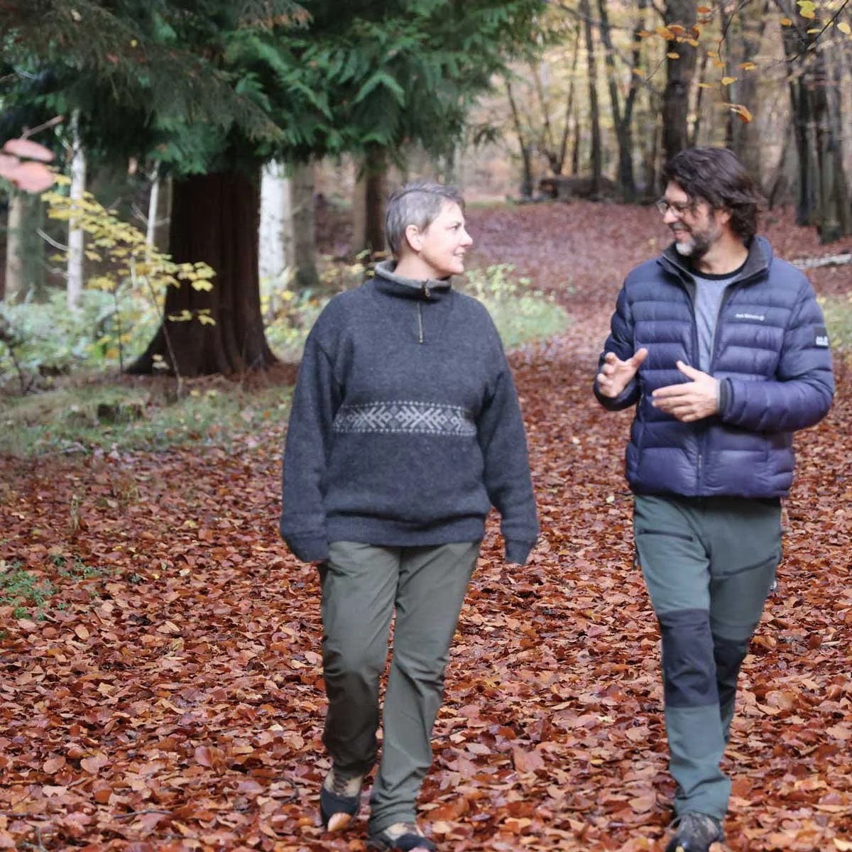 To mennesker går en tur i en smuk skov, og mærker hvordan nervesystemet for ro til at falde på plads.