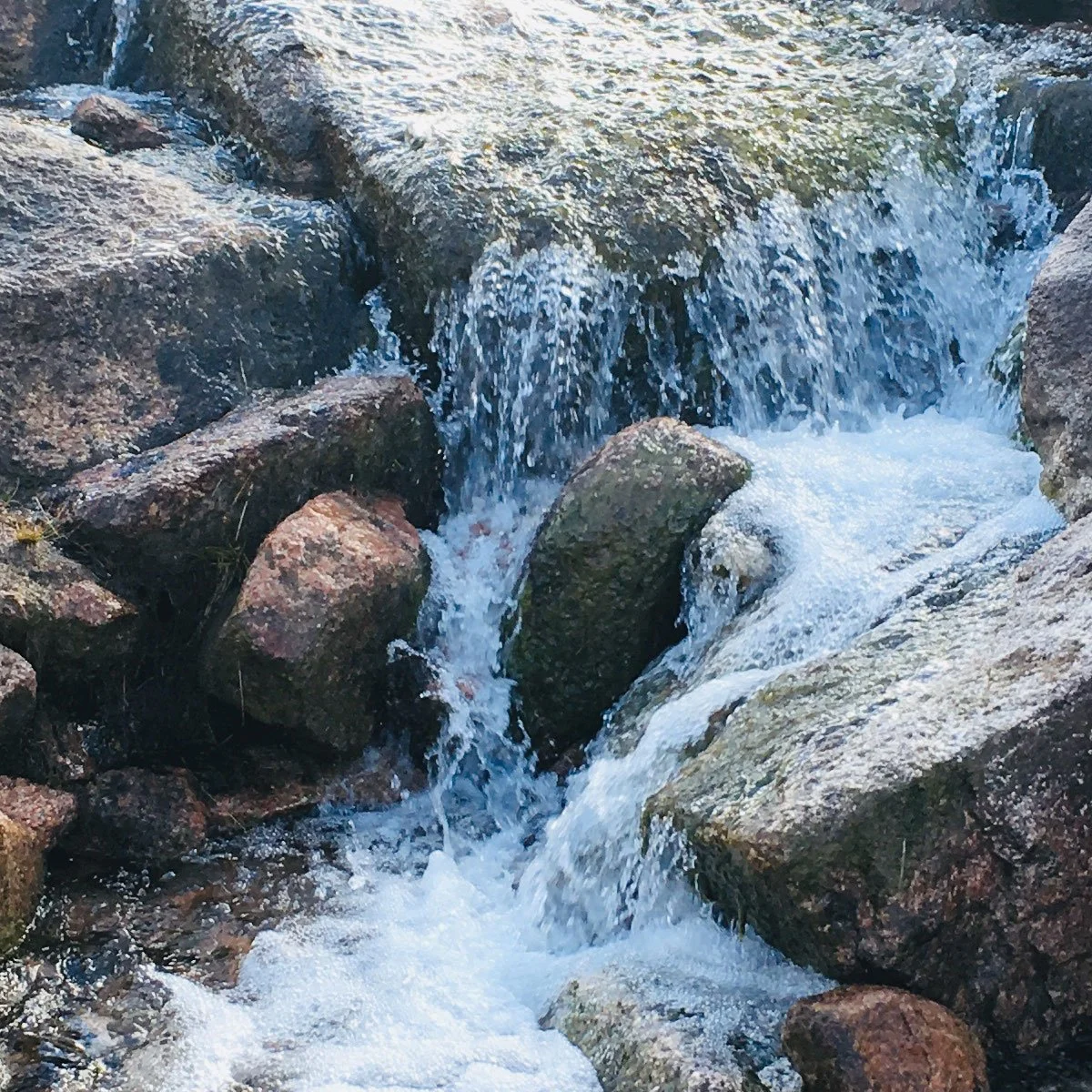 Bække, der strømmer over sten i en skovsø.