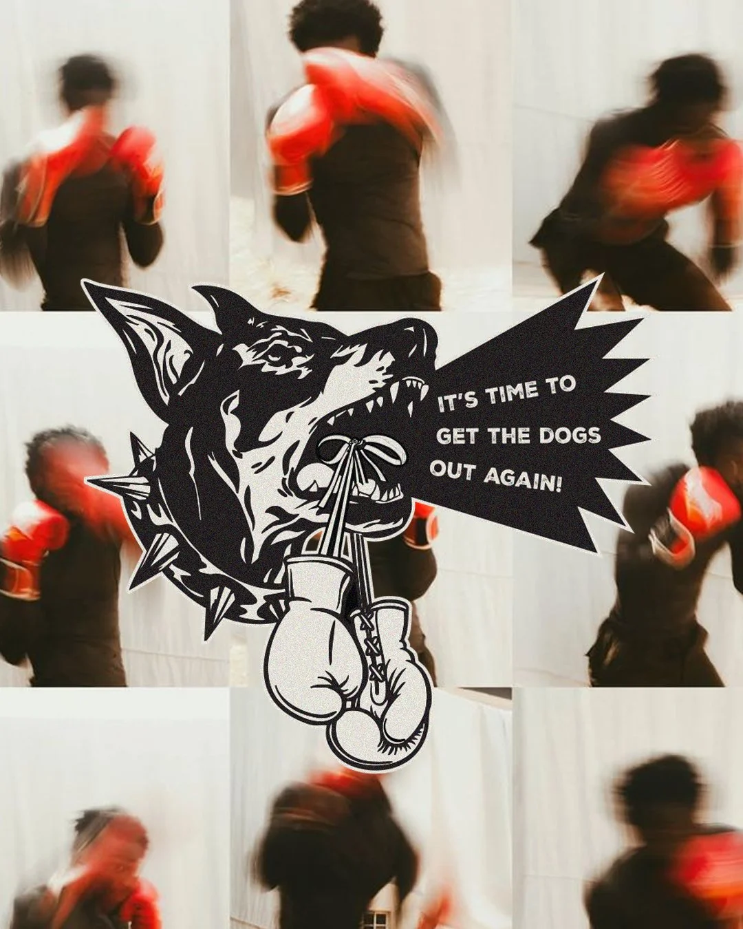 Blurred images of children in boxing gloves participating in a boxing class or workout, with a large graphic of a snarling dog wearing boxing gloves and a speech bubble saying "It's time to get the dogs out again!"