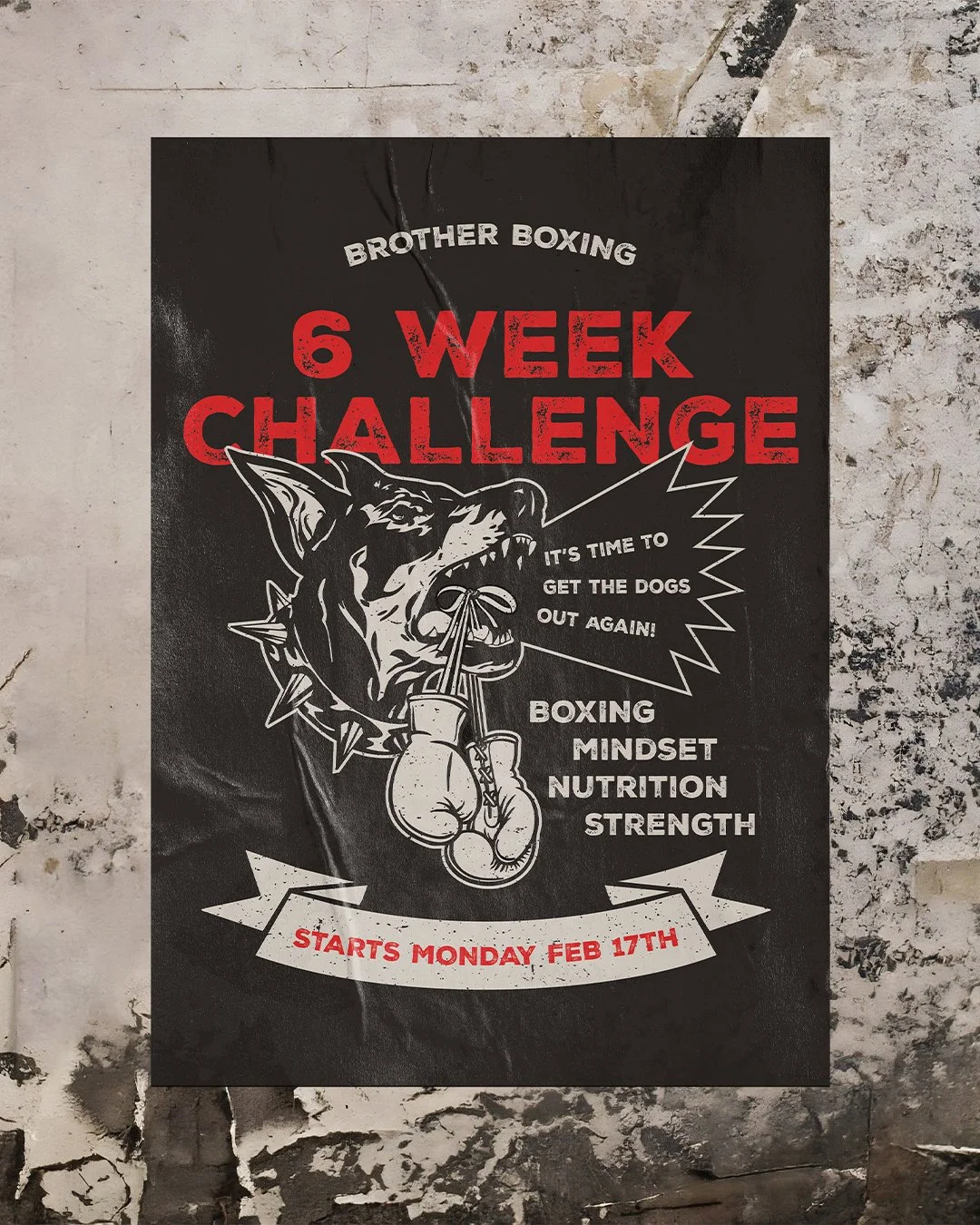 Poster advertising a 6-week boxing challenge starting February 17th, featuring a fierce dog wearing boxing gloves and spiked accessories, with text about boxing, mindset, nutrition, and strength.
