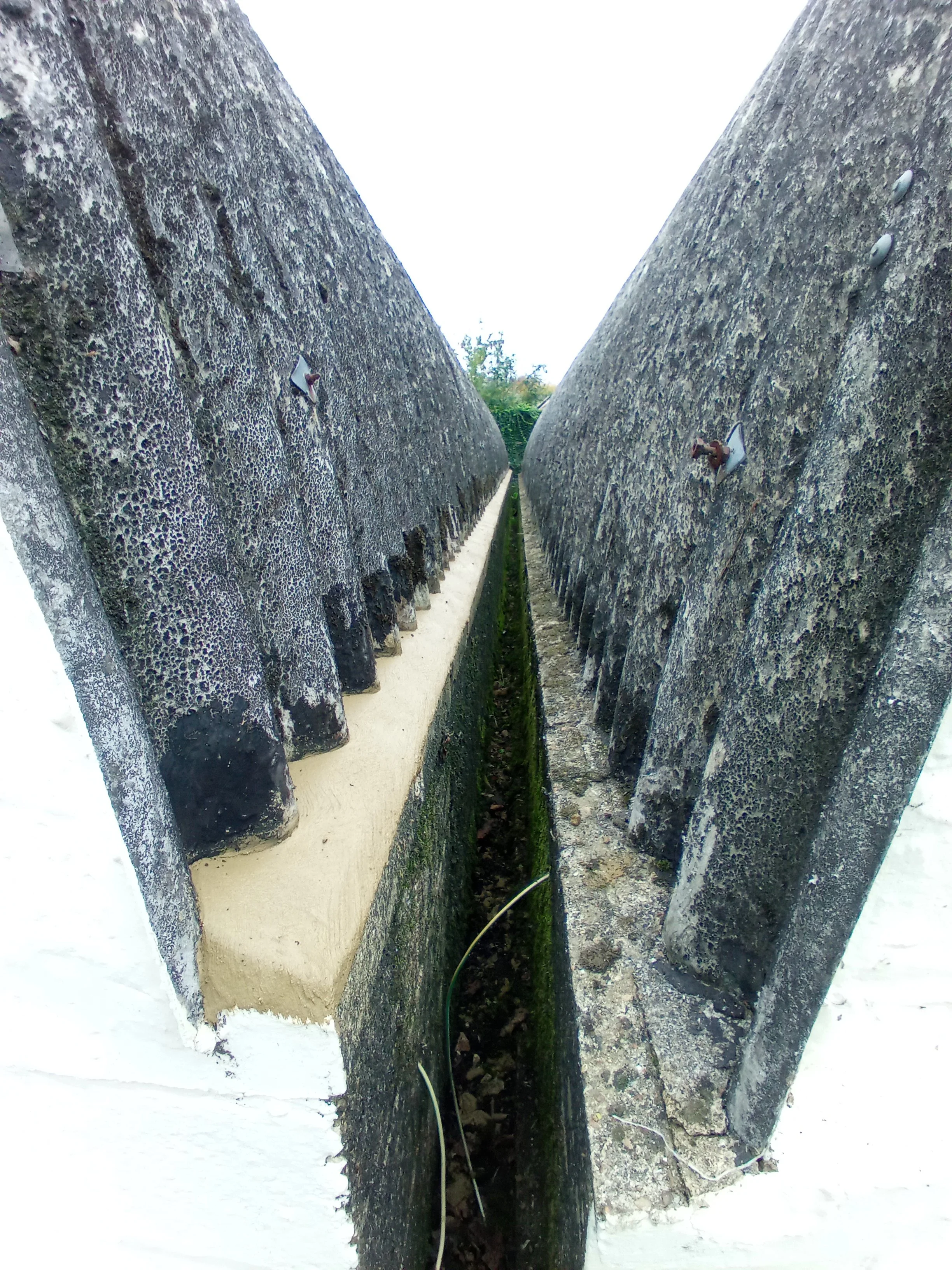 Close-up view of concrete walls with weathered textures separated by a narrow, mossy crack, with some wires and metal fixtures attached.