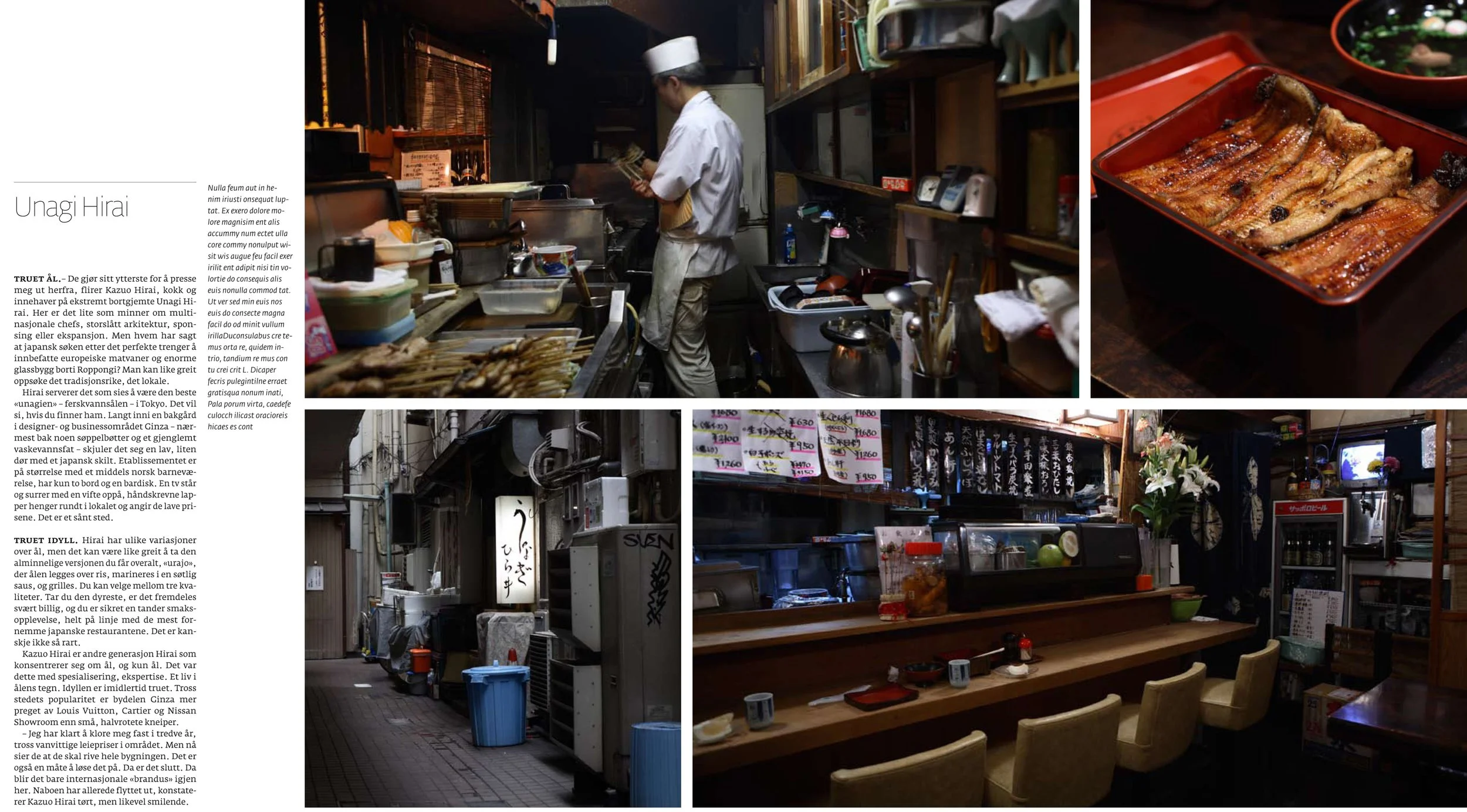 Ole Musken, fotograf, Oslo, Norway, Norge, photographer, bedriftsfoto, industry, arkitekturfoto, industry, architecture photography, reklamefoto, matfoto, Japan, Tokyo