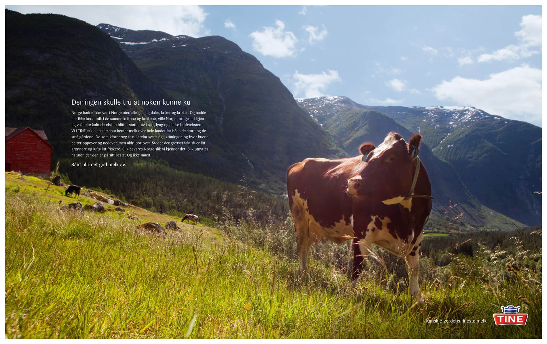 Ole Musken, fotograf, Oslo, Norway, Norge, photographer, bedriftsfoto, industry, arkitekturfoto, industry, architecture photography, D2, Japan, matfoto, matfotografi, binders, Tine 